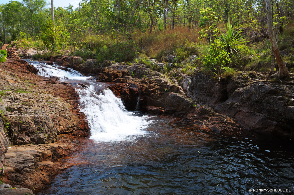 Litchfield National Park Wald Fluss Wasser Stream Landschaft Kanal Stein Berg Wildnis Land Fels Körper des Wassers Baum Wasserfall Park Creek Umgebung Frühling Wild Bäume im freien fließende natürliche Strömung Moos Reisen Felsen Berge im freien Herbst Bewegung fallen Kaskade Reinigen frische Luft nass landschaftlich rasche Entwicklung des ländlichen glatte Szenerie platsch Belaubung Szene Sommer üppige fallen Drop See friedliche Tourismus ruhige Wandern frisch Geschwindigkeit Gras Saison Hölzer Tag Steine Bewegung Ökologie Blatt Himmel Teich sonnig Pflanze Wildpflanze Gelände Schlucht felsigen Landschaften gelassene Holz nationalen Kühl Blätter klar Postkarte Tropischer entspannende Urlaub geologische formation Farben steilen niemand Erhaltung Garten Frieden Landschaft Küste bunte Ozean Land forest river water stream landscape channel stone mountain wilderness land rock body of water tree waterfall park creek environment spring wild trees outdoor flowing natural flow moss travel rocks mountains outdoors autumn motion fall cascade clean freshness wet scenic rapid rural smooth scenery splash foliage scene summer lush falling drop lake peaceful tourism tranquil hiking fresh speed grass season woods day stones movement ecology leaf sky pond sunny plant uncultivated terrain ravine rocky scenics serene wood national cool leaves clear postcard tropical relaxing vacation geological formation colors steep nobody conservation garden peace countryside coast colorful ocean country