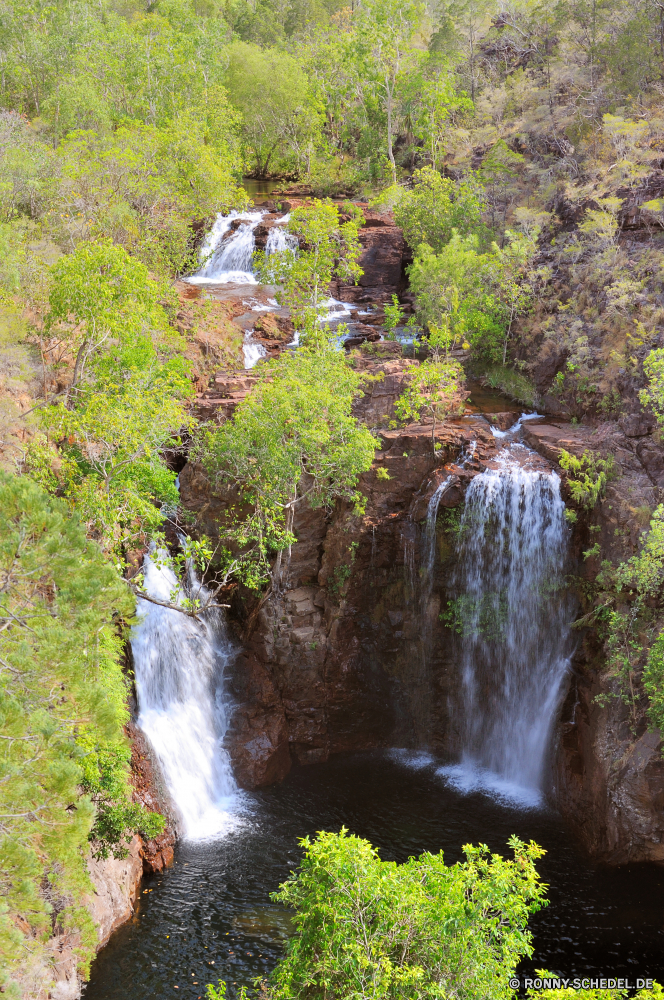 Litchfield National Park Wasserfall Fluss Stream Wald Wasser Fels Landschaft Wildnis Baum Kanal Stein Kaskade Berg Körper des Wassers fällt Park Strömung fließende Moos Umgebung fallen im freien Creek im freien Bewegung Felsen Sommer Wild fallen Frühling friedliche landschaftlich natürliche Schlucht Reisen platsch Blatt Pflanze Wasserfälle rasche nass Dam Schlucht Belaubung nationalen ruhige Bäume Berge Szene Struktur Hölzer Klippe Barrier felsigen Steine Tourismus Wanderung glatte Reinigen üppige frisch gelassene Herbst Geschwindigkeit Brunnen Szenerie Ökologie See Tal Gras Holz frische Luft Kühl Abenteuer Erhaltung woody plant Flüsse macht Obstruktion plantschen geologische formation Farbe Land Bereich klar Drop Bach Wandern Paradies vascular plant erfrischend Teich verschwommen kalt Landschaften niemand idyllische Himmel Ruhe Urlaub Tag Extreme Frieden lebendige waterfall river stream forest water rock landscape wilderness tree channel stone cascade mountain body of water falls park flow flowing moss environment fall outdoor creek outdoors motion rocks summer wild falling spring peaceful scenic natural canyon travel splash leaf plant waterfalls rapid wet dam ravine foliage national tranquil trees mountains scene structure woods cliff barrier rocky stones tourism hike smooth clean lush fresh serene autumn speed fountain scenery ecology lake valley grass wood freshness cool adventure conservation woody plant rivers power obstruction splashing geological formation color country area clear drop brook hiking paradise vascular plant refreshment pond blurred cold scenics nobody idyllic sky calm vacation day extreme peace vibrant