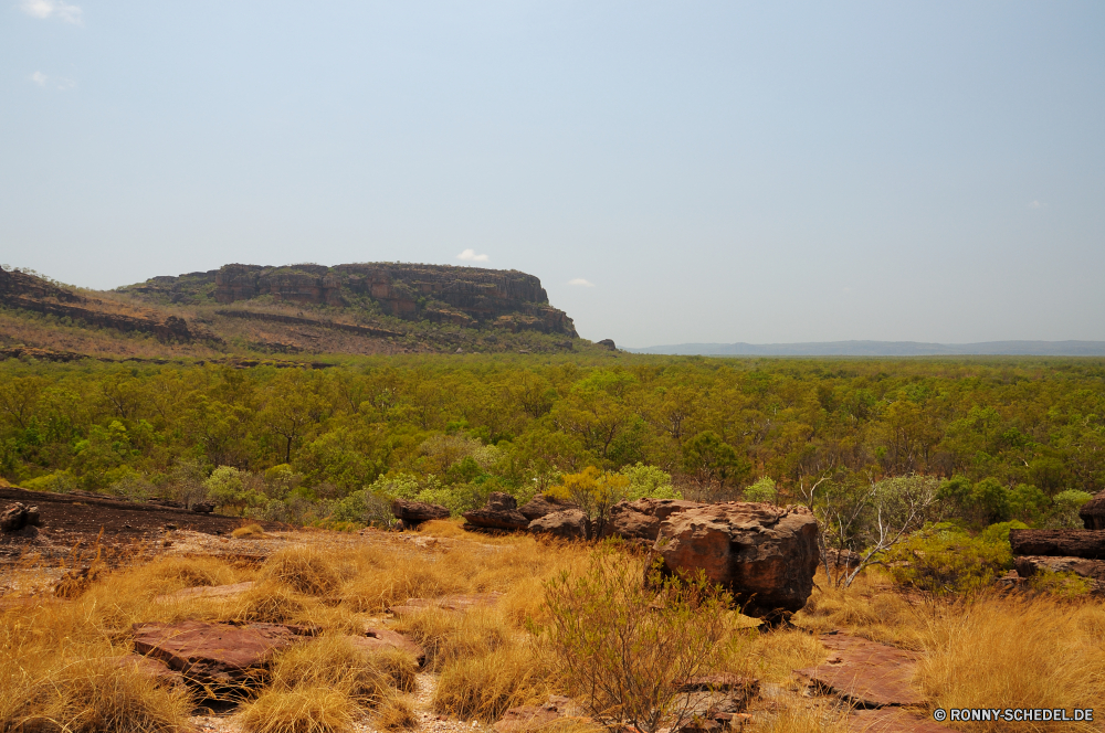 Kakadu National Park Knoll Landschaft Strauch Berg Stechginster Himmel Wüste woody plant Berge vascular plant Pflanze landschaftlich Fels Park Sand Reisen Feld Hügel Land nationalen Sommer trocken Entwicklung des ländlichen Heu Baum Wolken im freien Tal Szenerie im freien Gras Wiese Tourismus Wildnis gelb Stein Geologie natürliche Schlucht Land Umgebung Klippe Wolke Spitze Abenteuer Landwirtschaft Hügel Wild Felsen sonnig Landschaft Arid Licht Urlaub Panorama außerhalb Wald Sonne Wandern Szene Kraut Kaktus Weizen Hochland Insel Straße Horizont Sonnenuntergang Bauernhof Bäume Reiner Bereich Südwesten Tag Amaranth Ernte bewölkt heiß Pflanzen Ökologie friedliche Wahrzeichen Frühling Sandstein Bildung reservieren Westen Hügel Busch Belaubung Braun Wasser Wetter Herbst knoll landscape shrub mountain gorse sky desert woody plant mountains vascular plant plant scenic rock park sand travel field hill land national summer dry rural hay tree clouds outdoors valley scenery outdoor grass meadow tourism wilderness yellow stone geology natural canyon country environment cliff cloud peak adventure agriculture hills wild rocks sunny countryside arid light vacation panorama outside forest sun hiking scene herb cactus wheat highland island road horizon sunset farm trees plain range southwest day amaranth harvest cloudy hot plants ecology peaceful landmark spring sandstone formation reserve west mound bush foliage brown water weather autumn