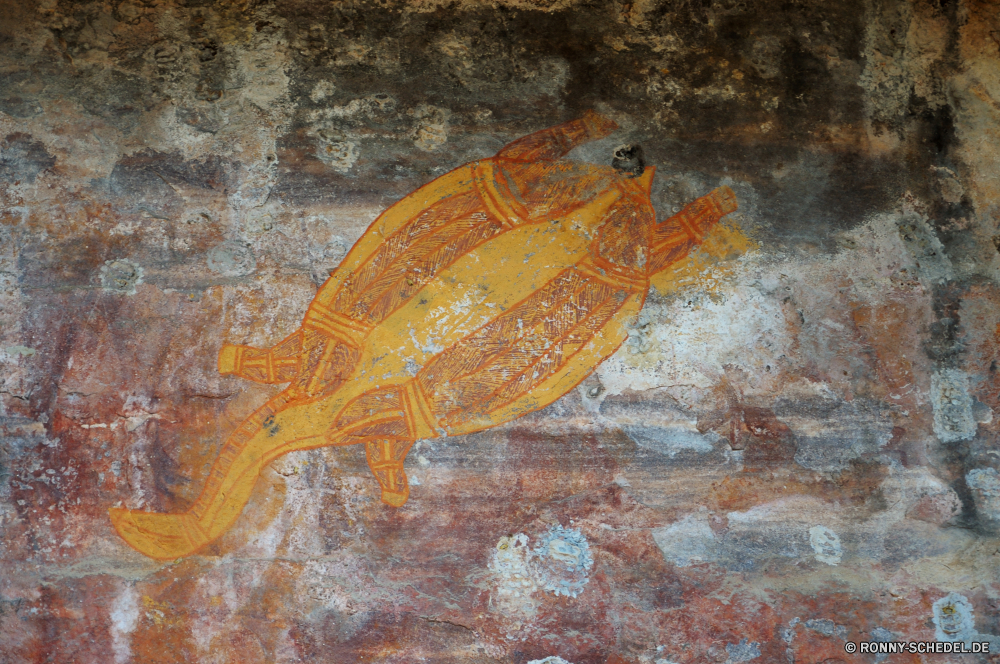 Kakadu National Park Krustentier Gliederfüßer Wirbellose Schildkröte Fisch Meeresschildkröte Meer Wasser Unterwasser Tropischer Insekt Ozean Wildtiere Tier Unechte Karettschildkröte Blatt Frosch Farbe Orange Schließen Leben bunte Braun Riff aquatische Reptil Sommer exotische Auge Tauchen Marine Aquarium Koralle hell Garten closeup Schwimmen Saison Essen Sand Pflanze Amphibie Reisen Schwimmen im freien Umgebung einzelne Haustier Detail Strahl transparente crustacean arthropod invertebrate turtle fish sea turtle sea water underwater tropical insect ocean wildlife animal loggerhead leaf frog color orange close life colorful brown reef aquatic reptile summer exotic eye diving marine aquarium coral bright garden closeup swim season food sand plant amphibian travel swimming outdoors environment single pet detail ray transparent