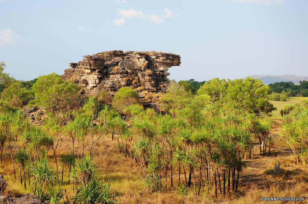 Kakadu National Park Baum Landschaft Wildnis Berg woody plant Himmel Wald Pflanze Gras Knoll Park Entwicklung des ländlichen vascular plant Berge landschaftlich Sommer Reisen Herbst Hügel Bäume im freien Feld Umgebung Wolke Saison Land Szene nationalen Bereich Szenerie Wiese Tourismus Fels Landschaft Wolken sonnig Hügel im freien Land natürliche Belaubung Tal Tag Wüste Landwirtschaft bewölkt fallen Spitze Klippe Fluss Urlaub Sonne Wasser friedliche Frühling Horizont Blatt Bauernhof Wild Pflanzen außerhalb Hölzer Blätter Panorama Kiefer See Hügel Farbe Stein gelb ruhige Sonnenlicht Grünland Weide bunte Bereich idyllische Schlucht Straße Gelände Strand in der Nähe Landschaften Strauch Stream Licht Reflexion am Morgen Sand Farben tree landscape wilderness mountain woody plant sky forest plant grass knoll park rural vascular plant mountains scenic summer travel autumn hill trees outdoors field environment cloud season land scene national range scenery meadow tourism rock countryside clouds sunny hills outdoor country natural foliage valley day desert agriculture cloudy fall peak cliff river vacation sun water peaceful spring horizon leaf farm wild plants outside woods leaves panorama pine lake mound color stone yellow tranquil sunlight grassland pasture colorful area idyllic canyon road terrain beach near scenics shrub stream light reflection morning sand colors