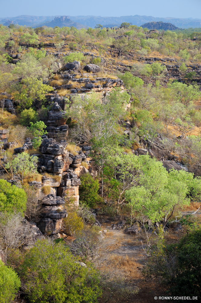 Kakadu National Park Baum Landschaft Wald woody plant Berg vascular plant Himmel Fluss Berge Bäume Pflanze landschaftlich Reisen Park im freien Stein Sommer Wasser Fels Hügel Herbst Strauch Land Wildnis Belaubung Tourismus Szene fallen Gras Szenerie Tag Entwicklung des ländlichen friedliche Hölzer natürliche Blatt Felsen im freien bunte Wolken ruhige Frühling Stadt Tal Antike See Landschaft nationalen Straße Feld Dorf Hochland Blätter sonnig Garten Tourist Umgebung Urlaub Panorama alt Gebäude Wasserfall Sonne Busch Mauer Wolke Stream außerhalb Saison Frieden Schloss Sonnenlicht Land Wanderweg Urlaub Architektur Pfad historische Süden Farbe Holz Branch Steigung Licht Kiefer gelb Farben Hügel üppige in der Nähe Wüste Steinmauer gelassene Stadt Klippe historischen southern beech Stechginster Wiese Orange Schlucht tree landscape forest woody plant mountain vascular plant sky river mountains trees plant scenic travel park outdoors stone summer water rock hill autumn shrub land wilderness foliage tourism scene fall grass scenery day rural peaceful woods natural leaf rocks outdoor colorful clouds tranquil spring city valley ancient lake countryside national road field village highland leaves sunny garden tourist environment vacation panorama old building waterfall sun bush wall cloud stream outside season peace castle sunlight country trail holiday architecture path historical south color wood branch slope light pine yellow colors hills lush near desert stone wall serene town cliff historic southern beech gorse meadow orange canyon