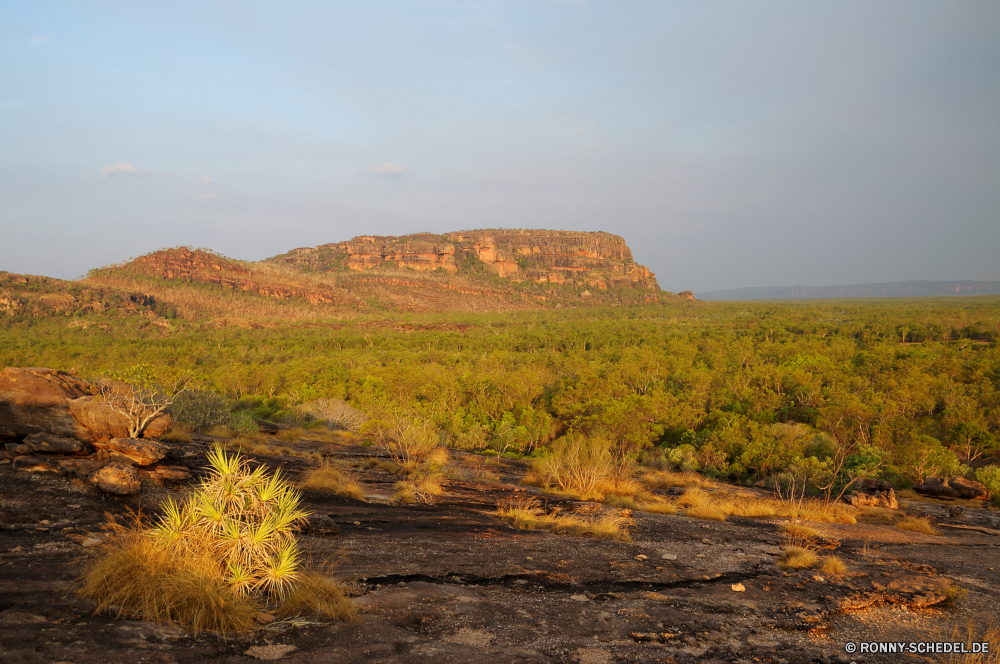 Kakadu National Park Wüste Landschaft Himmel Berg Pflanze vascular plant Fels Amaranth Berge landschaftlich Strauch Reisen Sand Schlucht Kraut Park Hügel trocken Land Kaktus Tal nationalen woody plant Baum Stein Szenerie Wolken im freien Tourismus Feld Wildnis im freien Darm-Trakt Entwicklung des ländlichen Arid Wiese Heu gelb Klippe Geologie Knoll Sommer Südwesten Wolke Horizont Gras Westen natürliche Panorama Landschaft Reiner Aushöhlung Hügel Umgebung Herbst Wald Szene Sandstein Spitze Wandern Stechginster Steppe Grand Urlaub Hochland Land Abenteuer Felsen Ökologie Farbe Wahrzeichen westliche Wild Braun Landschaften sonnig Tag Licht Wärme heiß Sonne Straße Landwirtschaft Gelände Busch Schmutz bewölkt friedliche fallen Sonnenlicht Bereich Organismus Frühling karge Bildung niemand Aussicht felsigen majestätisch Einsamkeit außerhalb Orange Bereich berühmte Pflanzen Insel Sonnenuntergang bunte Fluss desert landscape sky mountain plant vascular plant rock amaranth mountains scenic shrub travel sand canyon herb park hill dry land cactus valley national woody plant tree stone scenery clouds outdoor tourism field wilderness outdoors tract rural arid meadow hay yellow cliff geology knoll summer southwest cloud horizon grass west natural panorama countryside plain erosion hills environment autumn forest scene sandstone peak hiking gorse steppe grand vacation highland country adventure rocks ecology color landmark western wild brown scenics sunny day light heat hot sun road agriculture terrain bush dirt cloudy peaceful fall sunlight range organism spring barren formation nobody vista rocky majestic solitude outside orange area famous plants island sunset colorful river