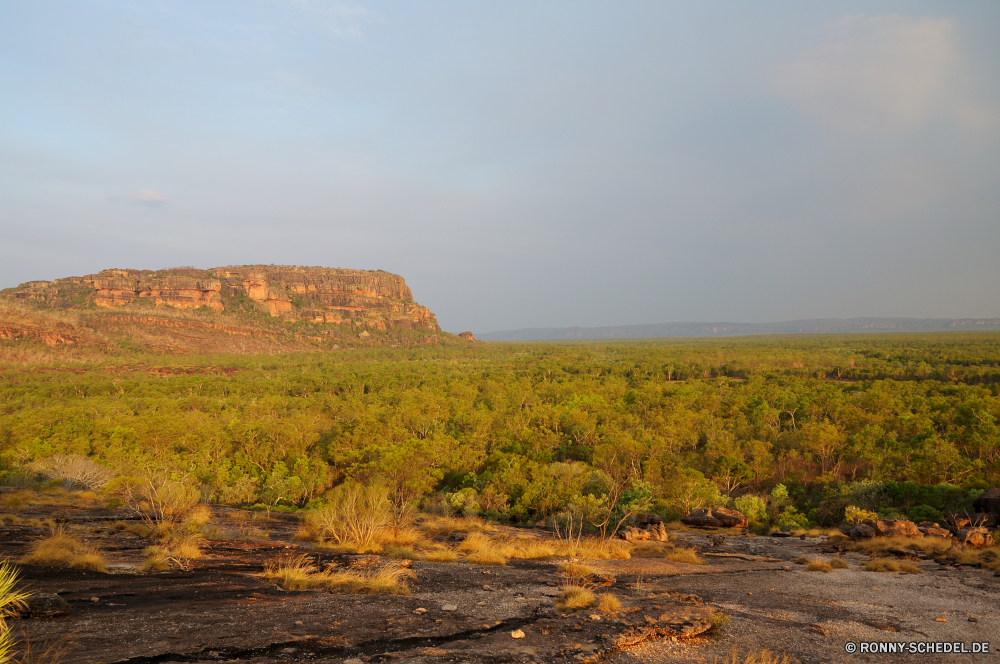 Kakadu National Park Landschaft Himmel landschaftlich Entwicklung des ländlichen Berg Feld Gras Landschaft Wolken Baum Land Szenerie Wüste Wolke Land Wiese Hügel Reisen Sommer Hochland Horizont Sonnenuntergang im freien Berge Sonne Tal Saison Schlucht Szene Landwirtschaft im freien Umgebung Reiner Pflanze Tourismus gelb Frühling Sonnenlicht natürliche Herbst Fels Bauernhof bewölkt Wald fallen Straße Sand sonnig Klippe Park Strauch Stein Bereich Stechginster Licht Tag Pfad Steppe woody plant Schlucht Sonnenaufgang trocken Wetter Farbe Wolkengebilde Darm-Trakt Westen Hügel vascular plant Wild Landbau Ernte bunte Wildnis Wachstum dramatische Schmutz Wasser am Morgen Steinmauer Braun Südwesten Ackerland Wandern Sturm Dämmerung außerhalb niemand Boden Belaubung Urlaub nationalen Arid Kraut Blatt Gelände Morgenröte Spitze ruhig Breite Orange Abenteuer Entspannen Sie sich Felsen Wärme Weingut Raps Zaun landscape sky scenic rural mountain field grass countryside clouds tree land scenery desert cloud country meadow hill travel summer highland horizon sunset outdoor mountains sun valley season canyon scene agriculture outdoors environment plain plant tourism yellow spring sunlight natural autumn rock farm cloudy forest fall road sand sunny cliff park shrub stone range gorse light day path steppe woody plant ravine sunrise dry weather color cloudscape tract west hills vascular plant wild farming harvest colorful wilderness growth dramatic dirt water morning stone wall brown southwest farmland hiking storm dusk outside nobody ground foliage vacation national arid herb leaf terrain dawn peak quiet wide orange adventure relax rocks heat vineyard rapeseed fence