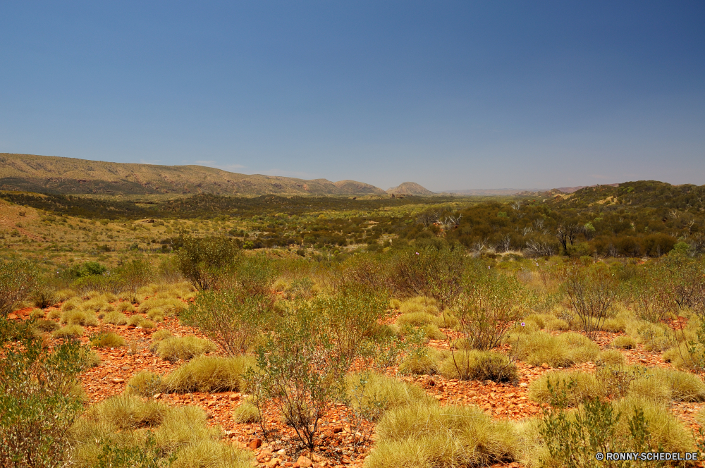 West MacDonnell Ranges National Park Hochland Landschaft Steppe Reiner Land Berg Gras Himmel Baum Berge Wald Feld Park Wiese Sommer Herbst Hügel Wolke Entwicklung des ländlichen Szenerie landschaftlich Pflanze Landschaft fallen Strauch Land Landwirtschaft Reisen sonnig Bauernhof Wolken im freien gelb Frühling Tourismus im freien Saison Umgebung Blatt Wasser friedliche Sonne natürliche Heide Wildnis Tal Horizont Fluss Fels Szene woody plant Belaubung See nationalen Hügel Busch Wild Stein vascular plant Wüste Bäume Spitze bewölkt Flora Sonnenlicht Farbe Pfad außerhalb wachsen Reflexion Aussicht Licht Panorama Landbau gelassene trocken Pflanzen Bereich Ruhe Urlaub bunte Blätter Kraut Grünland Ackerland felsigen ruhig Bereich Stream Steinmauer ruhige am Morgen Straße Tag Farben Sand highland landscape steppe plain land mountain grass sky tree mountains forest field park meadow summer autumn hill cloud rural scenery scenic plant countryside fall shrub country agriculture travel sunny farm clouds outdoors yellow spring tourism outdoor season environment leaf water peaceful sun natural heath wilderness valley horizon river rock scene woody plant foliage lake national hills bush wild stone vascular plant desert trees peak cloudy flora sunlight color path outside grow reflection vista light panorama farming serene dry plants range calm vacation colorful leaves herb grassland farmland rocky quiet area stream stone wall tranquil morning road day colors sand