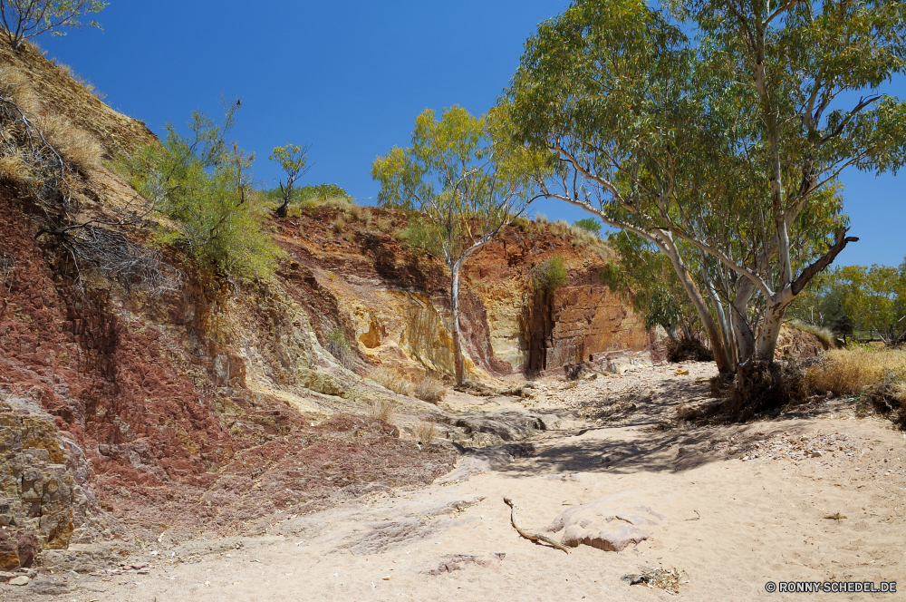 West MacDonnell Ranges National Park Baum Landschaft woody plant Wüste Himmel Fels Sand vascular plant Wildnis Park Aufstieg Reisen landschaftlich nationalen Berg Steigung Pflanze Klippe Tourismus im freien Schlucht im freien Sommer trocken Berge sonnig Felsen Stein Wild Umgebung Bäume Geologie Tag Straße Entwicklung des ländlichen Hügel natürliche Sonne Aushöhlung Arid Wolken Szenerie Hügel Tal Wald Land Abenteuer Land Süden heiß Urlaub Wärme Düne Sandstein Feld Fluss Bildung Busch Ziel Gras Pflanzen Insel Horizont Farbe Wasser bunte geologische Südwesten Kiefer Westen Wolke Wahrzeichen Braun Flora Blätter Dürre Saison Szene Orange Tropischer Holz Bereich Belaubung gelb Küste Herbst tree landscape woody plant desert sky rock sand vascular plant wilderness park ascent travel scenic national mountain slope plant cliff tourism outdoor canyon outdoors summer dry mountains sunny rocks stone wild environment trees geology day road rural hill natural sun erosion arid clouds scenery hills valley forest land adventure country south hot vacation heat dune sandstone field river formation bush destination grass plants island horizon color water colorful geological southwest pine west cloud landmark brown flora leaves drought season scene orange tropical wood range foliage yellow coast autumn