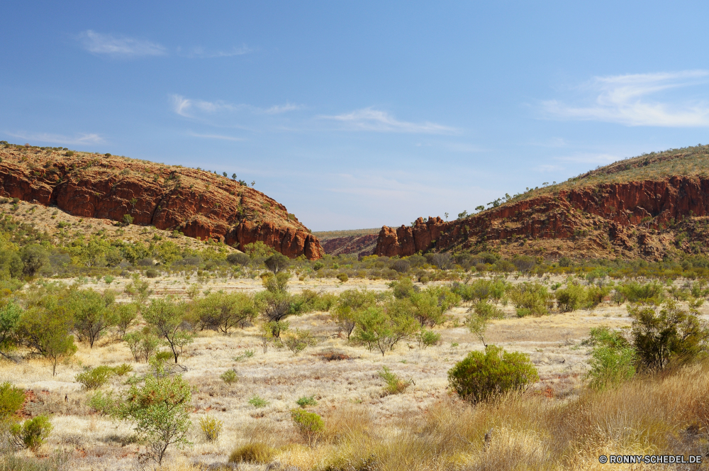 West MacDonnell Ranges National Park Hochland Berg Landschaft Berge Wüste Schlucht Himmel Tal Park Fels Reisen nationalen Hügel Wildnis Baum Wolken landschaftlich Bereich im freien Tourismus Stein Wald im freien Felsen Gras Sand Sommer Kaktus Geologie Hügel Klippe trocken natürliche Bereich Bäume Pflanze Aushöhlung Sandstein Land Bildung Spitze Fluss Panorama friedliche Szenerie Wasser Westen sonnig Schlucht Farbe vascular plant Horizont Südwesten Mauer Grand Wild Orange Ringwall Landschaft Umgebung Urlaub Wiese Braun Herbst felsigen Strauch Wandern Tag gelb Wolke heiß Insel Ruhe ruhige fallen Straße Wahrzeichen Licht Entwicklung des ländlichen Land bunte karge Arid Gelände niemand außerhalb Busch Norden gelassene Feld bewölkt Belaubung woody plant Saison highland mountain landscape mountains desert canyon sky valley park rock travel national hill wilderness tree clouds scenic range outdoor tourism stone forest outdoors rocks grass sand summer cactus geology hills cliff dry natural area trees plant erosion sandstone land formation peak river panorama peaceful scenery water west sunny ravine color vascular plant horizon southwest wall grand wild orange rampart countryside environment vacation meadow brown autumn rocky shrub hiking day yellow cloud hot island calm tranquil fall road landmark light rural country colorful barren arid terrain nobody outside bush north serene field cloudy foliage woody plant season