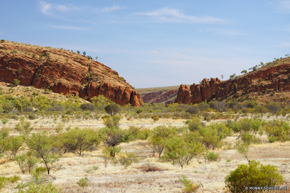 West MacDonnell Ranges National Park Knoll Schlucht Wüste Landschaft Fels Park nationalen Reisen Klippe Berg Tal Himmel landschaftlich Tourismus Berge Wildnis Stein Sandstein im freien im freien natürliche Geologie Felsen Aushöhlung Bildung Urlaub Südwesten Wolken Sand Baum Schlucht Szenerie Wahrzeichen Wandern Abenteuer Aussicht Westen trocken Tourist Wanderung geologische formation Sommer Formationen geologische Denkmal Bögen Kaktus Grand Umgebung Straße Orange Heu Spitze Landschaften Reise Hügel Wasser Bereich Mesa Erholung Bäume Arid Hochland Hügel Wild Land gelb Pflanze natürliche depression Fluss Klippen Nationalpark Ehrfurcht Panorama Ziel friedliche Sonnenuntergang Amaranth Butte Futter bunte Verwurzelung Tag hoch Gelände Stroh Insel vascular plant Kraut knoll canyon desert landscape rock park national travel cliff mountain valley sky scenic tourism mountains wilderness stone sandstone outdoors outdoor natural geology rocks erosion formation vacation southwest clouds sand tree ravine scenery landmark hiking adventure vista west dry tourist hike geological formation summer formations geological monument arches cactus grand environment road orange hay peak scenics trip hill water range mesa recreation trees arid highland hills wild land yellow plant natural depression river cliffs national park awe panorama destination peaceful sunset amaranth butte fodder colorful desolate day high terrain thatch island vascular plant herb