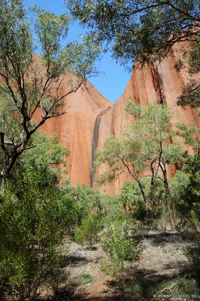 Ayers Rock und The Olgas Baum woody plant vascular plant Landschaft Park Eiche Wald Himmel Pflanze Herbst Bäume fallen im freien Blätter Belaubung Stein Szenerie im freien Fels Schlucht Szene Gras landschaftlich natürliche Berg Saison nationalen Orange Reisen Felsen Blatt Sommer Wildnis Hölzer Umgebung Fluss Farben Entwicklung des ländlichen gelb bunte Berge Tourismus Landschaft Branch Land sonnig Frieden Zweige Land Sonnenlicht Wasser Wüste Sonne Kiefer Licht Frühling Flora Holz Wandern friedliche Tag Aushöhlung Farbe Geologie Tal Urlaub hell Ahorn außerhalb Wolken Feld Straße Wahrzeichen Sandstein alt idyllische Pflanzen Tourist Wiese Braun Panorama Antike Pfad bottle-tree saisonale Hügel Landschaften Golden Abenteuer Hügel See Horizont Sonnenuntergang cork tree Bildung Wasserfall Kofferraum entfernten Garten Sonnenschein ruhige frisch Klippe tree woody plant vascular plant landscape park oak forest sky plant autumn trees fall outdoors leaves foliage stone scenery outdoor rock canyon scene grass scenic natural mountain season national orange travel rocks leaf summer wilderness woods environment river colors rural yellow colorful mountains tourism countryside branch country sunny peace branches land sunlight water desert sun pine light spring flora wood hiking peaceful day erosion color geology valley vacation bright maple outside clouds field road landmark sandstone old idyllic plants tourist meadow brown panorama ancient path bottle-tree seasonal hills scenics golden adventure hill lake horizon sunset cork tree formation waterfall trunk remote garden sunshine tranquil fresh cliff