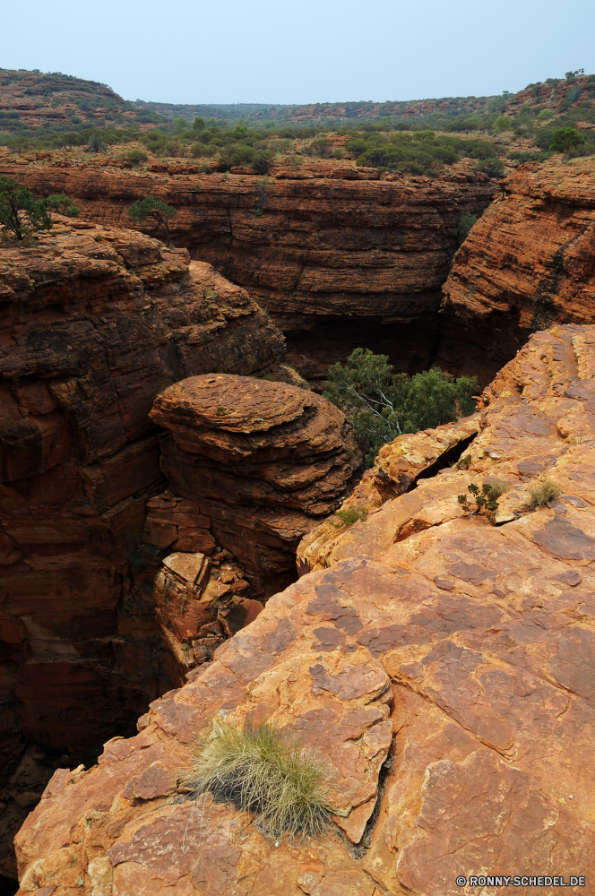 Kings Canyon Schlucht Fels Tal Schlucht Wüste Landschaft Klippe Felsen Höhle Stein nationalen Park Berg geologische formation Sandstein Reisen Cliff-Wohnung Tourismus Geologie landschaftlich natürliche depression Wohnung Himmel im freien Berge Aushöhlung Bildung Wandern im freien Südwesten Wildnis Gehäuse Sand Orange Tourist Wahrzeichen Abenteuer geologische natürliche Wolken Antike Urlaub Extreme Baum Struktur Fluss Süden Farbe Szenerie Sommer Tag Geschichte Szene trocken Formationen Gelände Aussicht Landschaften Steine Wasser Arid Wunder Grand Westen Bereich Mauer Hügel Platz alt Klippen Felge Reiseziele Reise Osten Umgebung Bögen Wanderung Wolke majestätisch Klima Ziel Land Backstein bunte Bereich Frühling canyon rock valley ravine desert landscape cliff rocks cave stone national park mountain geological formation sandstone travel cliff dwelling tourism geology scenic natural depression dwelling sky outdoors mountains erosion formation hiking outdoor southwest wilderness housing sand orange tourist landmark adventure geological natural clouds ancient vacation extreme tree structure river south color scenery summer day history scene dry formations terrain vista scenics stones water arid wonder grand west area wall hill place old cliffs rim destinations trip east environment arches hike cloud majestic climate destination land brick colorful range spring