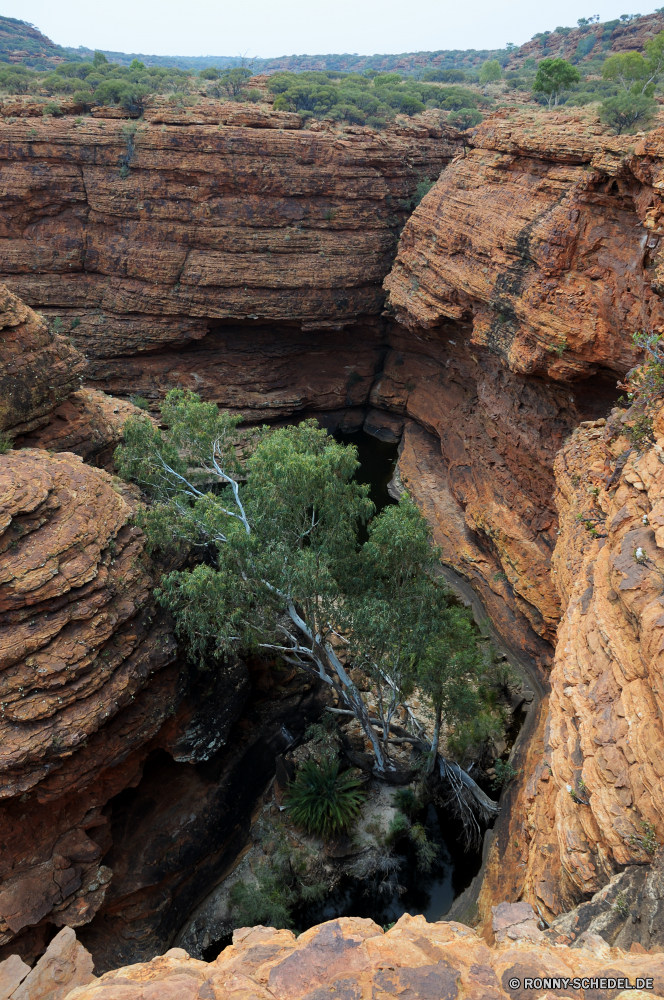 Kings Canyon Cliff-Wohnung Wohnung Gehäuse Schlucht Fels Struktur Park Berg Landschaft nationalen Klippe Sandstein Baum Stein Reisen Felsen Wüste Höhle Bildung Geologie im freien Tourismus Tal Berge geologische formation Wildnis Himmel Fluss Aushöhlung landschaftlich Sand Wasser im freien Szenerie natürliche Urlaub Südwesten Wandern Sommer Schlucht geologische Orange Hügel Bereich Wahrzeichen felsigen Farbe woody plant Wald Ziel Antike Formationen Klippen Umgebung Extreme außerhalb Wanderung Bäume Landschaften Szene Pflanze Gelände Aussicht Abenteuer Stream trocken Mauer Creek Reise alt cork tree vascular plant Tourist Geschichte Prima Frühling Arid Bereich Grand Wanderweg Schichten Westen Wolken Denkmal historischen Ökologie Erde Straße Tag cliff dwelling dwelling housing canyon rock structure park mountain landscape national cliff sandstone tree stone travel rocks desert cave formation geology outdoors tourism valley mountains geological formation wilderness sky river erosion scenic sand water outdoor scenery natural vacation southwest hiking summer ravine geological orange hill area landmark rocky color woody plant forest destination ancient formations cliffs environment extreme outside hike trees scenics scene plant terrain vista adventure stream dry wall creek trip old cork tree vascular plant tourist history awesome spring arid range grand trail layers west clouds monument historic ecology earth road day