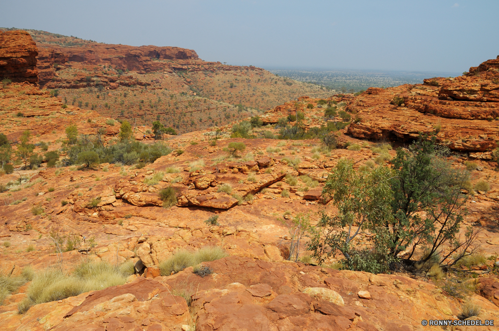 Kings Canyon Schlucht Tal Schlucht Wüste Fels Berg Landschaft Himmel Reisen Park Sand Berge natürliche depression nationalen Stein Klippe Tourismus Wildnis Aushöhlung Felsen Geologie trocken landschaftlich Westen Urlaub im freien Sandstein Südwesten im freien Grand Abenteuer Wolken Land Mesa Bildung Orange Arid Wunder Wandern Tourist Fluss natürliche Szenerie Baum Hügel geologische Felge Bereich Wolke Straße Wahrzeichen Bereich Pflanze Reise Wärme Hügel Sommer Wild heiß Horizont Bögen Gelände Umgebung Landschaften Sonne Licht Spitze Schmutz Tag Süden Hochland Welt Zustand Klima geologische formation Krater Kaktus Braun Entwicklung des ländlichen Butte karge Formationen Dürre niemand reservieren Aussicht westliche leere bewölkt Ziel Denkmal Boden gelb Erholung canyon valley ravine desert rock mountain landscape sky travel park sand mountains natural depression national stone cliff tourism wilderness erosion rocks geology dry scenic west vacation outdoor sandstone southwest outdoors grand adventure clouds land mesa formation orange arid wonder hiking tourist river natural scenery tree hill geological rim range cloud road landmark area plant journey heat hills summer wild hot horizon arches terrain environment scenics sun light peak dirt day south highland world state climate geological formation crater cactus brown rural butte barren formations drought nobody reserve vista western empty cloudy destination monument soil yellow recreation