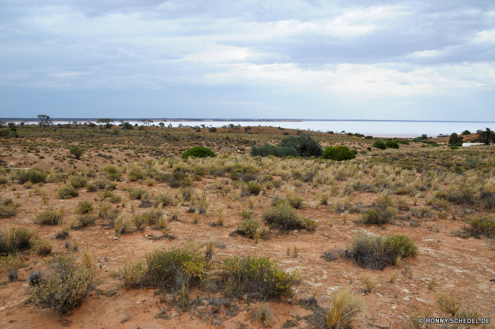 Salt Lake Hart Landschaft Land Steppe Himmel Reiner Sand landschaftlich Reisen Baum Wüste Wasser Sommer im freien Pflanze Park Szenerie Berg Fels Wald Entwicklung des ländlichen Gras Horizont Feld Strand Hügel Berge Ozean vascular plant im freien Szene Wolke Insel Wolken natürliche Meer sonnig See Hochland Sonne Land Stein Fluss Landschaft Küste Urlaub Panorama Labyrinth Knoll Ufer Wiese Tourismus Umgebung trocken Küstenlinie niemand nationalen Straße Klippe Tal Frühling Küste Saison Kraut Sonnenlicht Landwirtschaft Amaranth Wild Bucht Busch Boden bewölkt woody plant ruhige am Morgen Strauch am Meer Barrier Boden Wildnis Ruhe Sandbank Bauernhof Bäume Tag Erde landscape land steppe sky plain sand scenic travel tree desert water summer outdoor plant park scenery mountain rock forest rural grass horizon field beach hill mountains ocean vascular plant outdoors scene cloud island clouds natural sea sunny lake highland sun country stone river countryside coast vacation panorama maze knoll shore meadow tourism environment dry shoreline nobody national road cliff valley spring coastline season herb sunlight agriculture amaranth wild bay bush ground cloudy woody plant tranquil morning shrub seaside barrier soil wilderness calm sandbar farm trees day earth