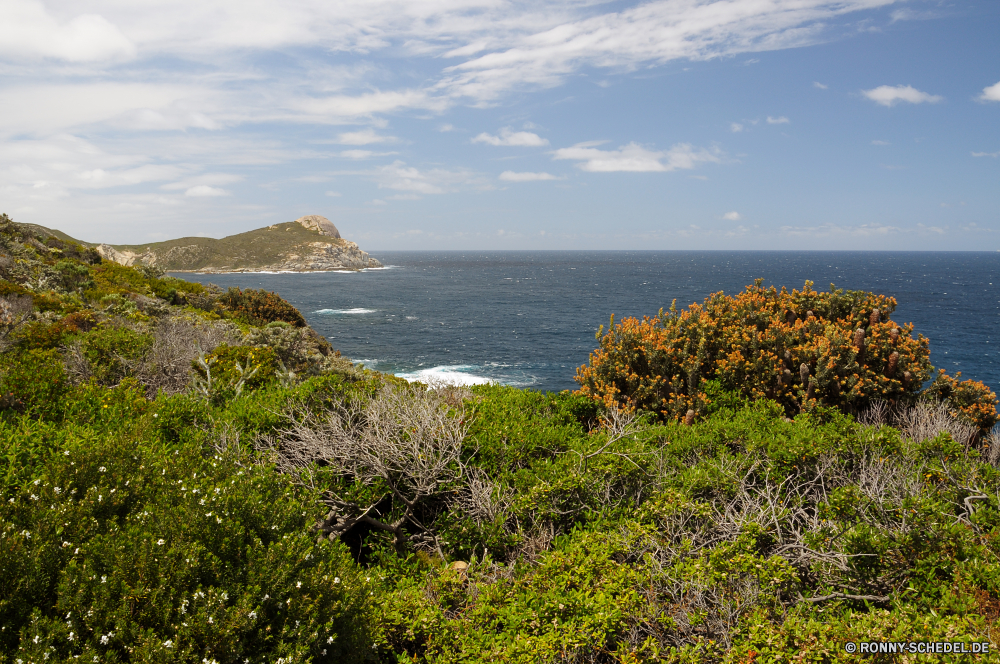 Torndirrup National Park Stechginster Strauch woody plant vascular plant Meer Wasser Landschaft Küste Ozean Vorgebirge Strand Küste Berg Himmel Pflanze Fels Sonne Insel natürliche Höhe Baum Reisen landschaftlich Urlaub Ufer Wolke Sommer geologische formation Hügel Tourismus im freien Sand Szenerie Stein Wald Urlaub Fluss See Wetter Panorama Bucht Felsen Kap seelandschaft Klippe sonnig Park Welle Tag Paradies Wellen im freien Tropischer friedliche Horizont Sonnenuntergang Pazifik Bäume Inseln Berge Entspannen Sie sich Teich Gras Frühling Resort Küstenlinie Stadt Entwicklung des ländlichen Küste felsigen Surf Süden ruhige am Meer Insel Lagune Szene Wolken Ziel Urlaub Stadt Umgebung Landschaft Tourist romantische Sonnenlicht niemand gorse shrub woody plant vascular plant sea water landscape coast ocean promontory beach coastline mountain sky plant rock sun island natural elevation tree travel scenic vacation shore cloud summer geological formation hill tourism outdoor sand scenery stone forest holiday river lake weather panorama bay rocks cape seascape cliff sunny park wave day paradise waves outdoors tropical peaceful horizon sunset pacific trees islands mountains relax pond grass spring resort shoreline city rural coastal rocky surf south tranquil seaside isle lagoon scene clouds destination holidays town environment countryside tourist romantic sunlight nobody