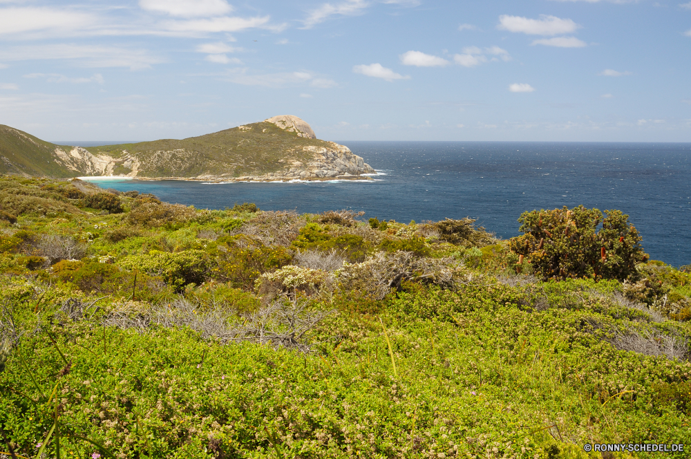 Torndirrup National Park Vorgebirge natürliche Höhe geologische formation Meer Landschaft Küste Ozean Küste Wasser Strand Insel Himmel Stechginster Kap Ufer Reisen Berg Fels Strauch Bucht Urlaub Sommer landschaftlich seelandschaft Sonne Hügel Klippe Sand Baum woody plant Welle Panorama Wellen Tourismus Wolke Felsen Urlaub Berge Tropischer sonnig im freien Szenerie Pflanze vascular plant Wetter Horizont Stein im freien Küstenlinie ruhige Küste Tag Park friedliche Paradies Gras See Bäume felsigen Pazifik Ruhe Inseln Surf Szene Wolken Wald Sonnenuntergang Wild Bewuchs Türkis Stadt am Meer Sonnenlicht Lagune malerische Sturm Panorama Entspannen Sie sich Palm Resort Stadt natürliche niemand promontory natural elevation geological formation sea landscape coast ocean coastline water beach island sky gorse cape shore travel mountain rock shrub bay vacation summer scenic seascape sun hill cliff sand tree woody plant wave panorama waves tourism cloud rocks holiday mountains tropical sunny outdoor scenery plant vascular plant weather horizon stone outdoors shoreline tranquil coastal day park peaceful paradise grass lake trees rocky pacific calm islands surf scene clouds forest sunset wild vegetation turquoise city seaside sunlight lagoon picturesque storm panoramic relax palm resort town natural nobody