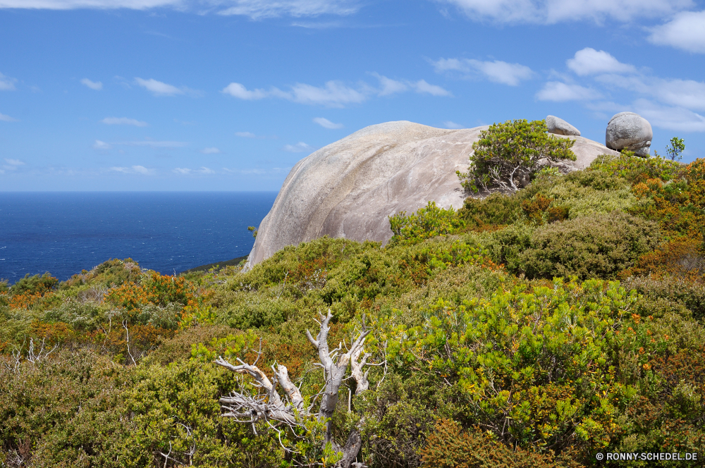 Torndirrup National Park Knoll Berg Landschaft Himmel Fels Reisen Klippe Baum Hügel landschaftlich geologische formation Wolken Berge nationalen Park Szenerie Tourismus Stein Spitze Sommer Bäume Panorama Wildnis im freien Schlucht Vorgebirge im freien Tal Wald natürliche Höhe Urlaub Wolke natürliche Steigung Gras Meer Felsen Wandern Pflanze Wasser Bereich Wüste Abenteuer hoch Wetter Geologie Vulkan Umgebung Aufstieg Sonne Szene Sand Urlaub Panorama Land Ozean Saison Horizont Bildung Wanderung Aussicht Land sonnig Reise Insel Küste Schnee Entwicklung des ländlichen Mount Landschaften Wild Farbe Nach oben Landschaft Gipfeltreffen Tag Strand Hochland Sandstein Hügel felsigen majestätisch außerhalb Wolkengebilde idyllische Pflanzen gelb Tourist bunte Sonnenlicht knoll mountain landscape sky rock travel cliff tree hill scenic geological formation clouds mountains national park scenery tourism stone peak summer trees panorama wilderness outdoors canyon promontory outdoor valley forest natural elevation vacation cloud natural slope grass sea rocks hiking plant water range desert adventure high weather geology volcano environment ascent sun scene sand holiday panoramic country ocean season horizon formation hike vista land sunny trip island coast snow rural mount landscapes wild color top countryside summit day beach highland sandstone hills rocky majestic outside cloudscape idyllic plants yellow tourist colorful sunlight