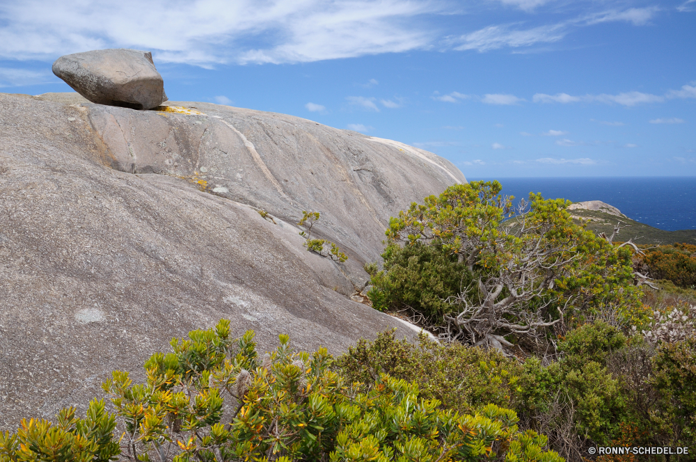 Torndirrup National Park Stechginster Strauch woody plant vascular plant Berg Landschaft Himmel Berge Baum Pflanze Wald Reisen Tal Spitze Bäume Tourismus landschaftlich Szenerie Hügel Fels Bereich im freien Wolken Panorama Gras Park Wildnis Sommer felsigen Wolke Wasser nationalen Entwicklung des ländlichen Herbst im freien Wandern Frühling Umgebung Wiese Tag Schnee Horizont Landschaften Urlaub Felsen Sonne gelb Szene Stein Landschaft Saison Grat übergeben Fluss hoch sonnig Meer Insel Landschaften natürliche Land Pflanzen Wetter Schlucht fallen Hochland Land Aussicht majestätisch Klippe Wüste Feld Nach oben See Küste Steigung Urlaub Gipfeltreffen Gletscher Vulkan Wild Blumen Hügel Wanderweg Ozean Ökologie Blätter gorse shrub woody plant vascular plant mountain landscape sky mountains tree plant forest travel valley peak trees tourism scenic scenery hill rock range outdoors clouds panorama grass park wilderness summer rocky cloud water national rural autumn outdoor hiking spring environment meadow day snow horizon scenics vacation rocks sun yellow scene stone countryside season ridge pass river high sunny sea island landscapes natural land plants weather canyon fall highland country vista majestic cliff desert field top lake coast slope holiday summit glacier volcano wild flowers hills trail ocean ecology leaves