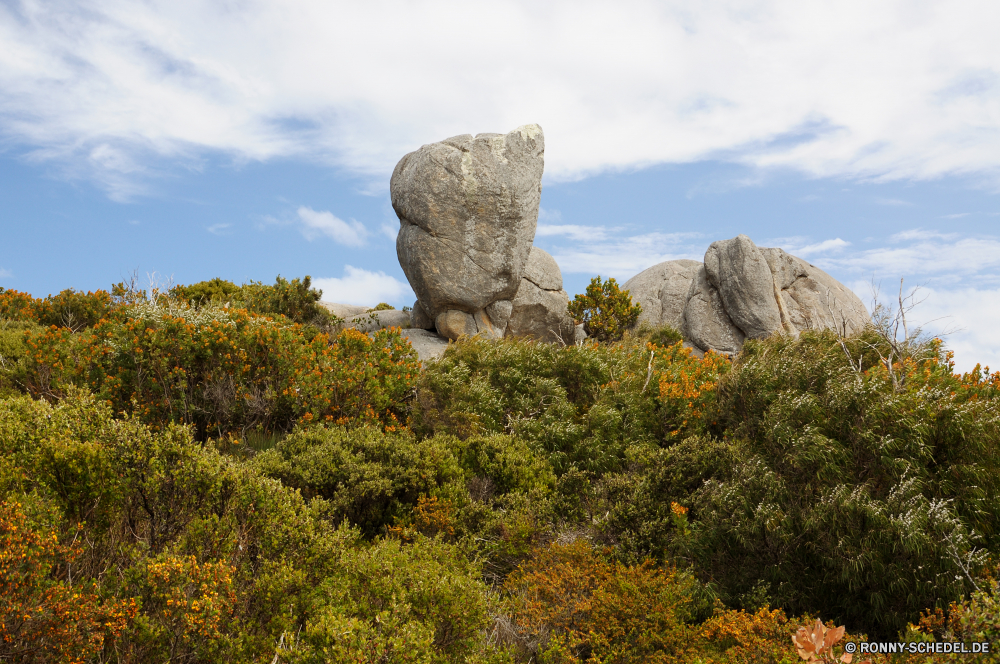 Torndirrup National Park Megalith Gedenkstätte Struktur Landschaft Fels Stein Berg Reisen Tourismus Antike Geschichte Himmel Park Wahrzeichen Knoll nationalen Denkmal Wolken Baum Felsen Wüste Wildnis landschaftlich im freien Sandstein Berge natürliche Wald historischen Bildung Geologie Religion Steine Hügel Gras alt Tal Sand Urlaub im freien Insel Erbe Landschaften England historische Mauer berühmte Architektur Szenerie Ruine geheimnisvolle Bereich Wolke Süden außerhalb Tourist Schlucht Bäume Ruine felsigen Spitze Mysterium Gebäude Szene Pflanze Sommer Jungsteinzeit Grab Hügel Wild majestätisch Attraktion Skulptur Ostern Platz Formationen Archäologie Aushöhlung Farbe reservieren Schloss Wandern Stadt Klippe trocken Landschaft Festung Horizont Turm Herbst Land megalith memorial structure landscape rock stone mountain travel tourism ancient history sky park landmark knoll national monument clouds tree rocks desert wilderness scenic outdoors sandstone mountains natural forest historic formation geology religion stones hill grass old valley sand vacation outdoor island heritage scenics england historical wall famous architecture scenery ruin mysterious area cloud south outside tourist canyon trees ruins rocky peak mystery building scene plant summer neolithic grave hills wild majestic attraction sculpture easter place formations archeology erosion color reserve castle hiking city cliff dry countryside fortress horizon tower autumn country