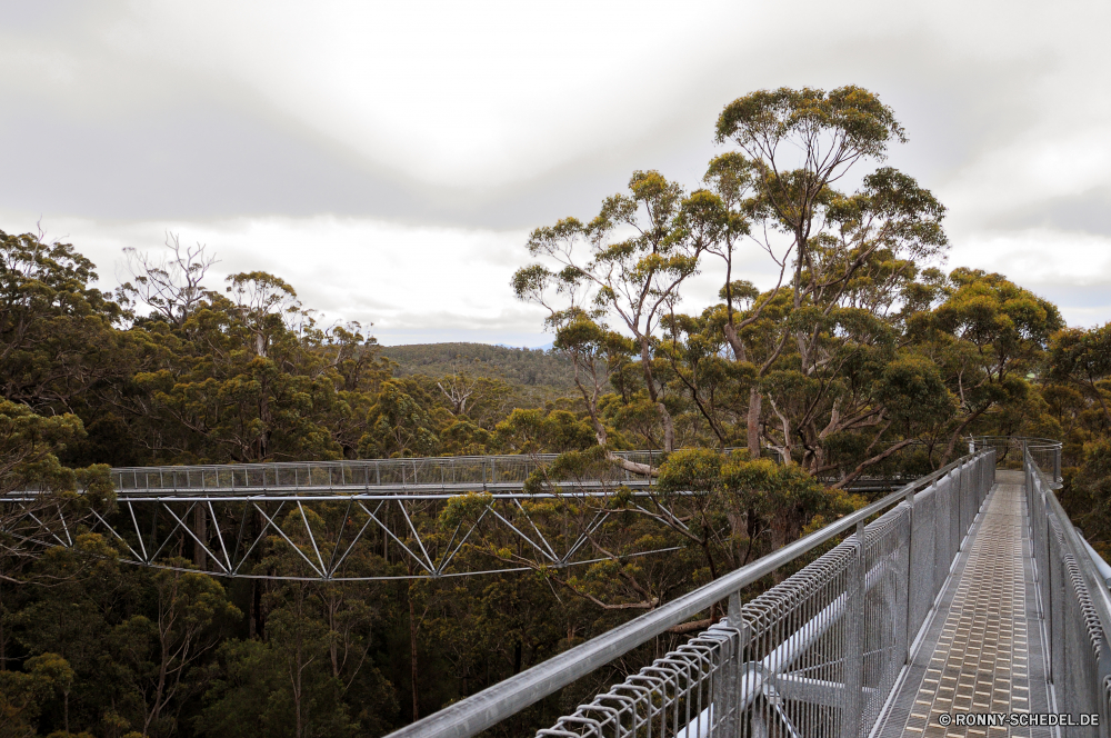 Valley of the Giants - Tree Top Walk Brücke Hängebrücke Track Struktur Landschaft Himmel Reling Baum Wasser Straße Reisen Sommer landschaftlich Fluss Wolke Eisenbahn Entwicklung des ländlichen Gras im freien Wald sonnig Park Transport Eisenbahn Zug Szenerie Wolken Bäume Holz bewölkt Unterstützung Horizont Strand Küste Schritt Meer Herbst Land Pfad im freien Pflanze Tag Architektur Stahl Art und Weise Zaun Feld Gerät Urlaub See Ozean Landschaft Wetter Berg Sonne Autobahn Sand Gebäude Reise Küste Industrie niemand Berge Sonnenlicht Metall Schiene aus Holz außerhalb Bau Perspektive Wahrzeichen Wiese Bogenbrücke aus Stahl Frühling alt Stein Barrier Umgebung Verkehr Sonnenuntergang bridge suspension bridge track structure landscape sky railing tree water road travel summer scenic river cloud railway rural grass outdoors forest sunny park transportation railroad train scenery clouds trees wood cloudy support horizon beach coast step sea autumn country path outdoor plant day architecture steel way fence field device vacation lake ocean countryside weather mountain sun highway sand building journey coastline industry nobody mountains sunlight metal rail wooden outside construction perspective landmark meadow steel arch bridge spring old stone barrier environment transport sunset