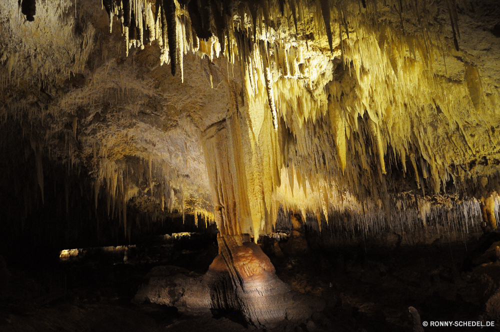 Jewel Cave Höhle Brunnen Baum Wald Struktur geologische formation Park Landschaft Herbst Bäume fallen natürliche landschaftlich Umgebung Szenerie Holz Saison Sonne Belaubung Blatt im freien Reisen Licht woody plant friedliche Landschaft Sommer am Morgen Entwicklung des ländlichen Land Blätter Sonnenlicht Branch Szene Hölzer bunte Gras Frühling im freien Wasser Farben Tag Pflanze Sonnenuntergang Fluss Tourismus Weide Orange Nebel hell gelb See vascular plant Kofferraum Wandern Sonnenaufgang sonnig Himmel ruhige Nebel Zweige Berg Straße dunkel Golden Farbe Waldland geheimnisvolle Mysterium Fels Pfad Ökologie neblig nebligen Wanderung Vorbau Stein Pflanzen Garten Frieden Fantasie Wanderweg Braun Wachstum Morgenröte Perspektive Land Feld Birke Kontur Nacht Ahorn klar Wild Strahlen außerhalb Dämmerung Fuß Stream Sonnenschein Leuchten Erde nationalen cave fountain tree forest structure geological formation park landscape autumn trees fall natural scenic environment scenery wood season sun foliage leaf outdoor travel light woody plant peaceful countryside summer morning rural country leaves sunlight branch scene woods colorful grass spring outdoors water colors day plant sunset river tourism willow orange fog bright yellow lake vascular plant trunk hiking sunrise sunny sky tranquil mist branches mountain road dark golden color woodland mysterious mystery rock path ecology foggy misty hike stem stone plants garden peace fantasy footpath brown growth dawn perspective land field birch silhouette night maple clear wild rays outside dusk walking stream sunshine shine earth national