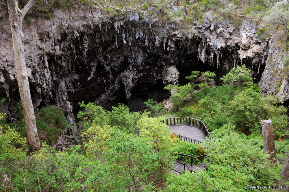 Lake Cave Baum woody plant vascular plant Wald Landschaft Pflanze Park Bäume Fluss im freien Berg Szenerie Stein Fels Wildnis Wasser landschaftlich Sommer Himmel Hölzer Szene natürliche Blätter Reisen nationalen Blatt im freien Berge Belaubung Umgebung See Herbst Land fallen Gras friedliche Frieden Frühling Tourismus Kiefer ruhige Entwicklung des ländlichen Felsen Garten nass Weide Pfad Stream Hügel alt Pepper tree Wanderweg zu Fuß Sonne Eiche Saison frisch Schlucht Wandern Wild Strömung Branch Antike Tal Wolke sonnig Regen Feld Holz cork tree Landschaft echte Lorbeer Sonnenlicht Wachstum Tag Moos Wanderung Gelände Wasserfall üppige Landschaften Brücke gelassene fließende Urlaub Reflexion Land tree woody plant vascular plant forest landscape plant park trees river outdoors mountain scenery stone rock wilderness water scenic summer sky woods scene natural leaves travel national leaf outdoor mountains foliage environment lake autumn land fall grass peaceful peace spring tourism pine tranquil rural rocks garden wet willow path stream hill old pepper tree trail walk sun oak season fresh canyon hiking wild flow branch ancient valley cloud sunny rain field wood cork tree countryside true laurel sunlight growth day moss hike terrain waterfall lush scenics bridge serene flowing vacation reflection country