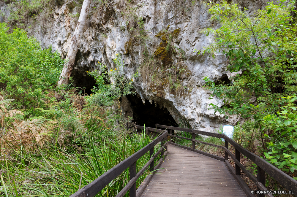 Mammoth Cave Baum woody plant Wald Landschaft vascular plant Bäume Park Fluss Pfad Pflanze Wasser im freien natürliche Umgebung Stein Hölzer Berg Szenerie Belaubung fallen landschaftlich Reisen Stream im freien Wildnis Entwicklung des ländlichen Herbst Holz Wild Moos Wanderweg Wandern Garten Frühling Sommer Fels Wasserfall ruhige Gras Berge Wanderung alt Schritt friedliche Creek zu Fuß Abenteuer durch Blätter Track Straße Art und Weise Brücke Tourismus Dschungel Unterstützung Tag See Frieden Stoffwechselweg Gehweg üppige Busch Tropischer Blatt Ruhe frische Luft Landschaft am Morgen aus Holz Saison Gerät Felsen fließende Pflanzen Strömung Ökologie Wanderweg Szene Schlucht Bewegung außerhalb Bereich Fuß gelassene Kiefer Land frisch Zaun Wachstum tree woody plant forest landscape vascular plant trees park river path plant water outdoor natural environment stone woods mountain scenery foliage fall scenic travel stream outdoors wilderness rural autumn wood wild moss trail hiking garden spring summer rock waterfall tranquil grass mountains hike old step peaceful creek walk adventure through leaves track road way bridge tourism jungle support day lake peace pathway walkway lush bush tropical leaf calm freshness countryside morning wooden season device rocks flowing plants flow ecology footpath scene canyon motion outside area walking serene pine land fresh fence growth