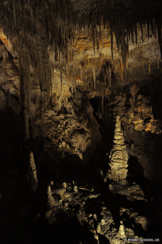 Mammoth Cave Höhle geologische formation Wald Baum Park Landschaft Bäume landschaftlich Fels Reisen Hölzer natürliche Licht Wasser dunkel Herbst nass Tourismus Antike nationalen im freien Stein Fluss Holz Wildnis Umgebung Geologie Mysterium Sonnenlicht Blätter alt Wandern Blatt Innenseite Ökologie Szenerie Schlucht Himmel gelb Frühling fallen Waldland Berg friedliche Dunkelheit Wanderung geheimnisvolle Kofferraum tief Architektur Saison Belaubung Orange Erde Branch Tropfsteinhöhle Farbe u-Bahn Klippe Wanderweg Wild Szene Mauer Erhaltung Regen Sommer im freien Wahrzeichen Tempel Entwicklung des ländlichen Stalagmit Höhle Kalkstein Formationen Ökosystem Tag Moos ökologische Pflanze üppige zu Fuß Steine Stream Muster Urlaub Sonne Sonnenuntergang Schatten Gebäude Gras cave geological formation forest tree park landscape trees scenic rock travel woods natural light water dark autumn wet tourism ancient national outdoor stone river wood wilderness environment geology mystery sunlight leaves old hiking leaf inside ecology scenery canyon sky yellow spring fall woodland mountain peaceful darkness hike mysterious trunk deep architecture season foliage orange earth branch stalactite color underground cliff trail wild scene wall conservation rain summer outdoors landmark temple rural stalagmite cavern limestone formations ecosystem day moss ecological plant lush walk stones stream pattern vacation sun sunset shadow building grass