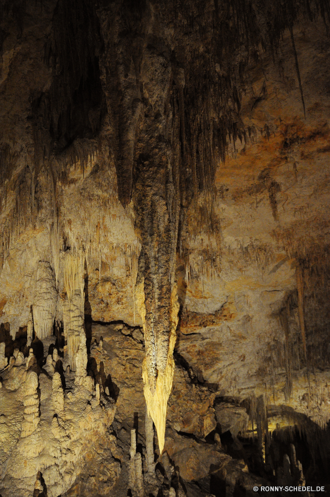 Mammoth Cave Höhle geologische formation Baum natürliche Fels Park Wald Holz Landschaft Geologie Stein Rinde alt dunkel Reisen Tourismus Muster Textur Mauer Antike nationalen Licht Erde Kofferraum Mysterium Herbst Braun Tropfsteinhöhle Innenseite Kalkstein u-Bahn Detail Höhle Material Bäume landschaftlich im freien Stalagmit Pflanze Rau Dunkelheit nass Hölzer Oberfläche Wasser Farbe Grunge Schlucht geologische Schließen Orange Bildung geheimnisvolle texturierte im freien Steine Calcit Sandstein Formationen versteckt Berg Aushöhlung Kiefer unter tief Erhaltung Felsen Tourist fallen Umgebung Szenerie Mineralien Blatt Ökologie Eiche ganz aus Holz unter Mining Ökosystem Blätter Ressourcen Holz ungewöhnliche ökologische Tour Attraktion Bereich Boden Abenteuer Tropfen Loch Jahrgang Berge gelb Wahrzeichen Sonnenlicht Wachstum cave geological formation tree natural rock park forest wood landscape geology stone bark old dark travel tourism pattern texture wall ancient national light earth trunk mystery autumn brown stalactite inside limestone underground detail cavern material trees scenic outdoor stalagmite plant rough darkness wet woods surface water color grunge canyon geologic close orange formation mysterious textured outdoors stones calcite sandstone formations hidden mountain erosion pine under deep conservation rocks tourist fall environment scenery minerals leaf ecology oak quite wooden beneath mining ecosystem leaves resources timber unusual ecological tour attraction area ground adventure drops hole vintage mountains yellow landmark sunlight growth