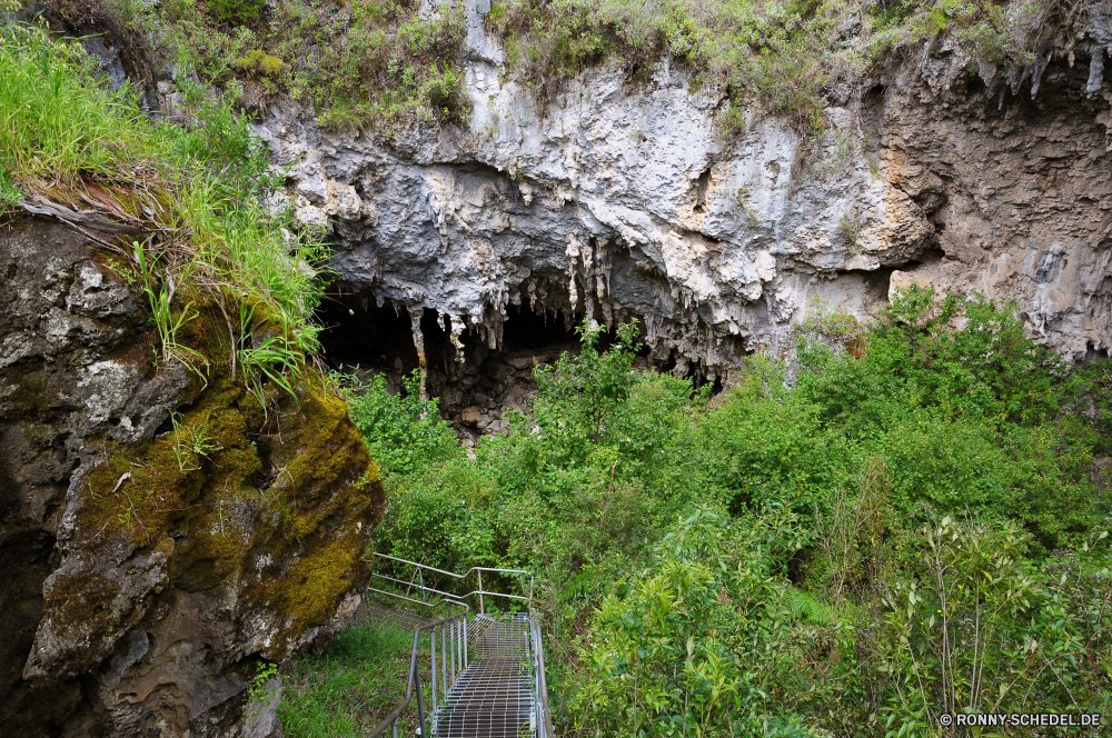 Mammoth Cave Baum Wald Landschaft Fluss woody plant Berg Fels Wasser Stein Berge Park Bäume vascular plant im freien Pflanze Stream landschaftlich Reisen Wildnis Felsen natürliche im freien Frühling Umgebung Gras Wasserfall Sommer Hölzer Belaubung ruhige friedliche Mauer fallen Szenerie Blätter Creek See fließende Schlucht nationalen nass Herbst Szene Moos Wandern Blatt Tourismus Entwicklung des ländlichen Pfad Hügel Strömung Klippe Holz felsigen Warenkorb Himmel Tal Wild Tag Saison Pepper tree Frieden Wanderweg klar Landschaften Bewegung Ökologie frische Luft Wanderung Gelände Handwagen üppige hoch Steine gelassene Land Wolken Land Kaskade frisch kalt Abenteuer idyllische Garten Urlaub Kiefer Sonne Straße bunte Farben tree forest landscape river woody plant mountain rock water stone mountains park trees vascular plant outdoors plant stream scenic travel wilderness rocks natural outdoor spring environment grass waterfall summer woods foliage tranquil peaceful wall fall scenery leaves creek lake flowing canyon national wet autumn scene moss hiking leaf tourism rural path hill flow cliff wood rocky shopping cart sky valley wild day season pepper tree peace trail clear scenics motion ecology freshness hike terrain handcart lush high stones serene land clouds country cascade fresh cold adventure idyllic garden vacation pine sun road colorful colors