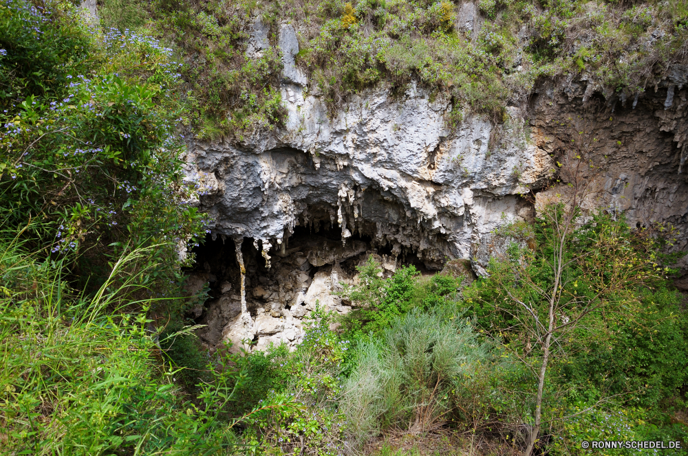 Mammoth Cave Baum Wald woody plant Landschaft Fluss vascular plant Bäume Wasser Stein Park Berg Fels Wildnis Pflanze Reisen fallen im freien Szenerie im freien Blätter Belaubung Hölzer Stream landschaftlich Sommer Frühling Blatt natürliche Gras Tourismus Umgebung Herbst Wasserfall friedliche Berge Moos Szene Creek See Branch Land Saison Strömung nationalen Bewuchs nass Felsen ruhige Wandern Wild fließende Frieden Schlucht Kiefer Holz Kanal Tal Entwicklung des ländlichen Hügel Himmel frisch alt Farben felsigen Sumpf Abenteuer kalt Steine Pfad Regen gelassene Flora Sonne Wanderweg üppige Eiche idyllische Ökologie Sonnenlicht Tag Bewegung Busch Extreme Feuchtgebiet Klima platsch Braun Landschaft gelb Körper des Wassers tree forest woody plant landscape river vascular plant trees water stone park mountain rock wilderness plant travel fall outdoor scenery outdoors leaves foliage woods stream scenic summer spring leaf natural grass tourism environment autumn waterfall peaceful mountains moss scene creek lake branch land season flow national vegetation wet rocks tranquil hiking wild flowing peace canyon pine wood channel valley rural hill sky fresh old colors rocky swamp adventure cold stones path rain serene flora sun trail lush oak idyllic ecology sunlight day motion bush extreme wetland climate splash brown countryside yellow body of water