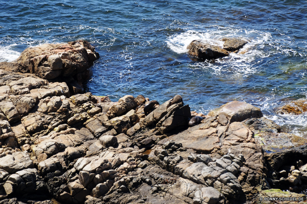 Cape Naturaliste Wellenbrecher Barrier Meer Ozean Obstruktion Wasser Küste Strand Fels Küste Landschaft Struktur Reisen Ufer Stein Insel Felsen Welle seelandschaft Himmel Urlaub Wellen Sommer Sand landschaftlich Bucht Tourismus felsigen Sonne Szenerie Steine Urlaub Klippe Horizont Kap Szene natürliche am Meer Küste Surf Tropischer sonnig Küstenlinie Vorgebirge Seelöwe im freien Entspannen Sie sich im freien Gezeiten Wolke Tourist Tag Pazifik Umgebung natürliche Höhe klar Paradies Resort Ohrenrobben See Marine Ziel Wolken Sonnenuntergang Sonnenlicht Fluss geologische formation Ruhe ruhige Sturm Süden Siegel friedliche Berg Baum Angeln Türkis Wind Stadt Freizeit Land Wetter Saison breakwater barrier sea ocean obstruction water coast beach rock coastline landscape structure travel shore stone island rocks wave seascape sky vacation waves summer sand scenic bay tourism rocky sun scenery stones holiday cliff horizon cape scene natural seaside coastal surf tropical sunny shoreline promontory sea lion outdoor relax outdoors tide cloud tourist day pacific environment natural elevation clear paradise resort eared seal lake marine destination clouds sunset sunlight river geological formation calm tranquil storm south seal peaceful mountain tree fishing turquoise wind city leisure land weather season