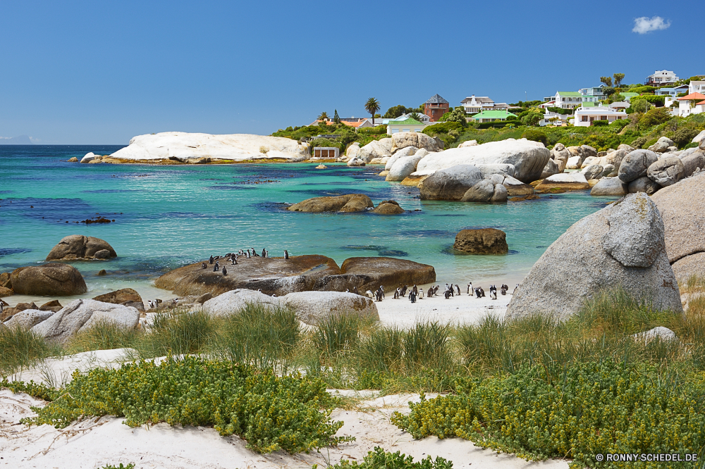 Kapstadt Strand Ozean Meer Küste Vorgebirge Wasser natürliche Höhe Landschaft Reisen Küste Himmel Sand Insel geologische formation Ufer Küstenlinie Fels Urlaub Welle Felsen Sommer Sonne Bucht Urlaub am Meer Paradies seelandschaft Wellen landschaftlich Tourismus Tourist Szenerie Körper des Wassers Stein Entspannen Sie sich Klippe sonnig Tropischer Küste felsigen Surf ruhige Baum Szene im freien Berg Wolke Wolken Kap Barrier Ziel klar Erholung Resort natürliche Pazifik Türkis Boot Wellenbrecher Inseln Panorama idyllische Urlaub Sandbank Park Bäume Lagune im freien Kiefer Steine Entspannung Horizont Sonnenuntergang Gezeiten Frühling Meeresküste Schwimmen Bewuchs Reise Palm Fluss Angeln Bar Hügel Urlaub warm friedliche Ruhe Frieden Reflexion Sonnenlicht beach ocean sea coast promontory water natural elevation landscape travel coastline sky sand island geological formation shore shoreline rock vacation wave rocks summer sun bay holiday seaside paradise seascape waves scenic tourism tourist scenery body of water stone relax cliff sunny tropical coastal rocky surf tranquil tree scene outdoor mountain cloud clouds cape barrier destination clear recreation resort natural pacific turquoise boat breakwater islands panorama idyllic vacations sandbar park trees lagoon outdoors pine stones relaxation horizon sunset tide spring seashore swim vegetation journey palm river fishing bar hill holidays warm peaceful calm peace reflection sunlight