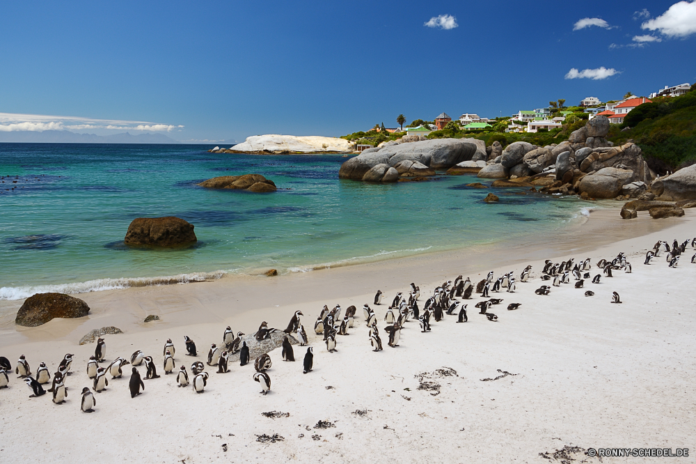 Kapstadt Strand Ozean Meer Sand Küste Wasser Küstenlinie am Meer Urlaub Reisen Insel Ufer Landschaft Himmel Sommer Wellen Tropischer Paradies Welle Urlaub Fels Küste Sonne Tourismus landschaftlich Felsen Bucht Wolken Surf Entspannen Sie sich Klippe Körper des Wassers sonnig Ziel Baum im freien Erholung Palm seelandschaft Wolke Szenerie Stein Resort Pazifik Küste Tourist Türkis Horizont Szene warm exotische Lagune Panorama idyllische Ruhe ruhige felsigen Himmel natürliche Reise Entspannung Freizeit Sonnenuntergang klar Reise Gezeiten Azurblau im freien Wendekreis Marine Stadt natürliche Höhe romantische Berg Vorgebirge Inseln Meeresküste sandigen Schwimmen Urlaub Boot Riff Sturm Traum heiß Urlaub Reflexion entspannende Wetter Barrier Sonnenlicht beach ocean sea sand coast water shoreline seaside vacation travel island shore landscape sky summer waves tropical paradise wave holiday rock coastline sun tourism scenic rocks bay clouds surf relax cliff body of water sunny destination tree outdoor recreation palm seascape cloud scenery stone resort pacific coastal tourist turquoise horizon scene warm exotic lagoon panorama idyllic calm tranquil rocky heaven natural journey relaxation leisure sunset clear trip tide azure outdoors tropic marine city natural elevation romantic mountain promontory islands seashore sandy swim vacations boat reef storm dream hot holidays reflection relaxing weather barrier sunlight