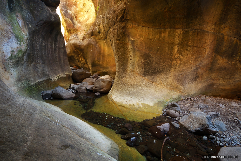 Royal Natal National Park Schildkröte Höhle Wasser Mud turtle Fels geologische formation Sumpfschildkröte Wildtiere Felsen Säugetier Park Sand Fluss Reisen Wild Eidechse Schlucht Reptil Tourismus Landschaft Stein Meer im freien Berg Talos IV – Tabu Geologie Ozean landschaftlich nationalen Wüste im freien Ökologie Strand Löwe Sandstein Wasserfall Safari Umgebung natürliche Erhaltung Seelöwe Klippe Baum Meeresschildkröte Stream Tiere Orange Creek Erde Elefant Frühling Wildnis Insel Urlaub Bildung felsigen Ohren Extreme außerhalb Sommer Farbe nass Tal Schildkröte Antike Teich Mauer Himmel Schale tief Marine macht Arktis Unechte Karettschildkröte Küste Leben turtle cave water mud turtle rock geological formation terrapin wildlife rocks mammal park sand river travel wild lizard canyon reptile tourism landscape stone sea outdoor mountain menagerie geology ocean scenic national desert outdoors ecology beach lion sandstone waterfall safari environment natural conservation sea lion cliff tree sea turtle stream animals orange creek earth elephant spring wilderness island vacation formation rocky ears extreme outside summer color wet valley tortoise ancient pond wall sky shell deep marine power arctic loggerhead coast life