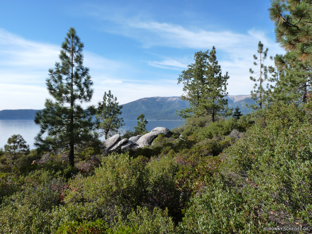 Lake Tahoe Baum Kiefer Landschaft woody plant Wald Himmel Gras Bäume vascular plant Berg Park Sommer Pflanze Frühling Berge Saison Wildnis Wolke im freien Reisen im freien Feld Tanne Umgebung sonnig Wiese Wolken Entwicklung des ländlichen Holz Tal Hügel Tag Szene Szenerie Wild Garten Blätter Tourismus natürliche Blatt Spitze landschaftlich Rasen Fels Sonne hoch Branch Schnee Urlaub Land Belaubung Landschaft nationalen Sonnenlicht Land Wandern Wolkengebilde idyllische Bereich Strauch Horizont Herbst übergeben Licht Busch Weide Blume Stein Nach oben Straße Fluss hell Blumen Hügel Bewuchs alt Hölzer Panorama bewölkt Sonnenschein See ruhige Wetter frisch Flora Bauernhof tree pine landscape woody plant forest sky grass trees vascular plant mountain park summer plant spring mountains season wilderness cloud outdoor travel outdoors field fir environment sunny meadow clouds rural wood valley hill day scene scenery wild garden leaves tourism natural leaf peak scenic lawn rock sun high branch snow vacation country foliage countryside national sunlight land hiking cloudscape idyllic range shrub horizon autumn pass light bush pasture flower stone top road river bright flowers hills vegetation old woods panorama cloudy sunshine lake tranquil weather fresh flora farm