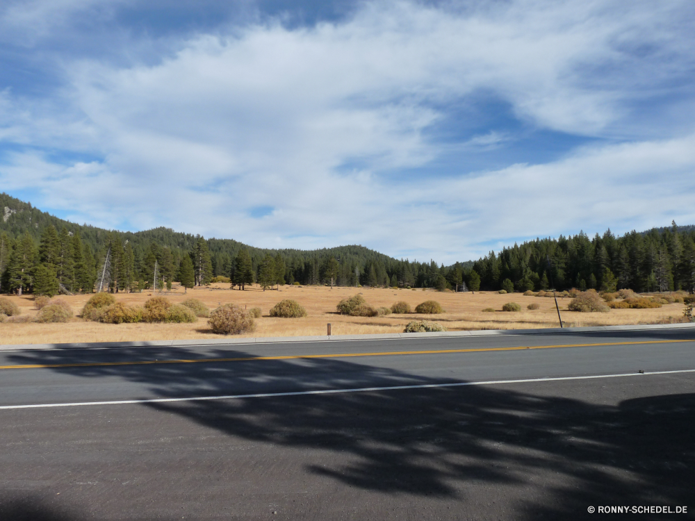 Fahrt über Incline Village, Reno und nach Winnemucca Kreuzung Straße Landschaft Autobahn Asphalt Himmel Reisen Transport Laufwerk Reise Auto leere Strecke Reise Entwicklung des ländlichen Berg Schnellstraße Autobahn Wolke Wolken Horizont Berge Geschwindigkeit Straße landschaftlich Verkehr Linie Sommer Verkehr Art und Weise Hügel Land fahren Feld Kurve Gras Landschaft Wald Bewegung Szenerie im freien Richtung Perspektive Wüste Spur im freien Biegung Baum Asphalt Bereich Verschieben Urlaub voran bewölkt Land Ziel schnell Szene Limousine Bäume Auto Speedway lange Fahrbahn Kfz Wiese sonnig Sand Park Autobahn niemand Freiheit Wetter Hochland wicklung Fahrzeug Strand Auto Landschaften Wolkengebilde Pfad Bewegung Reling Urlaub Pflaster Tag gerade Meer Entfernung Reisen Ozean friedliche Sonne An intersection road landscape highway asphalt sky travel transportation drive journey car empty route trip rural mountain expressway freeway cloud clouds horizon mountains speed street scenic traffic line summer transport way hill country driving field curve grass countryside forest motion scenery outdoor direction perspective desert lane outdoors bend tree tarmac range moving vacation ahead cloudy land destination fast scene limousine trees auto speedway long roadway motor vehicle meadow sunny sand park motorway nobody freedom weather highland winding vehicle beach automobile scenics cloudscape path movement railing holiday pavement day straight sea distance traveling ocean peaceful sun to