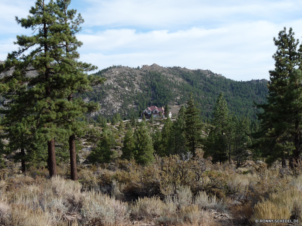 Fahrt über Incline Village, Reno und nach Winnemucca Baum Landschaft Berg woody plant Wald Wildnis Berge Himmel Park Kiefer Bäume vascular plant Tanne nationalen Tal Wolke Herbst Reisen Fluss Gras Pflanze Schnee im freien Entwicklung des ländlichen Sommer Fels Hölzer Szene fallen Szenerie Wasser landschaftlich Saison Spitze Tourismus Umgebung See Wolken Hügel Wandern Bereich ruhige felsigen southern beech Urlaub im freien sonnig Belaubung Frühling Land Landschaft Wiese Stein friedliche Feld natürliche Holz Norden hoch Bereich Felsen Wüste Blatt Schlucht Farbe Alpine übergeben Gelände Licht bunte Nach oben Yucca Hochland Strauch Land Tag Wild Mount Hügel Weide Landschaften Pfad Rasen idyllische Pflanzen Branch Wetter Straße Blätter tree landscape mountain woody plant forest wilderness mountains sky park pine trees vascular plant fir national valley cloud autumn travel river grass plant snow outdoors rural summer rock woods scene fall scenery water scenic season peak tourism environment lake clouds hill hiking range tranquil rocky southern beech vacation outdoor sunny foliage spring land countryside meadow stone peaceful field natural wood north high area rocks desert leaf canyon color alpine pass terrain light colorful top yucca highland shrub country day wild mount hills pasture scenics path lawn idyllic plants branch weather road leaves