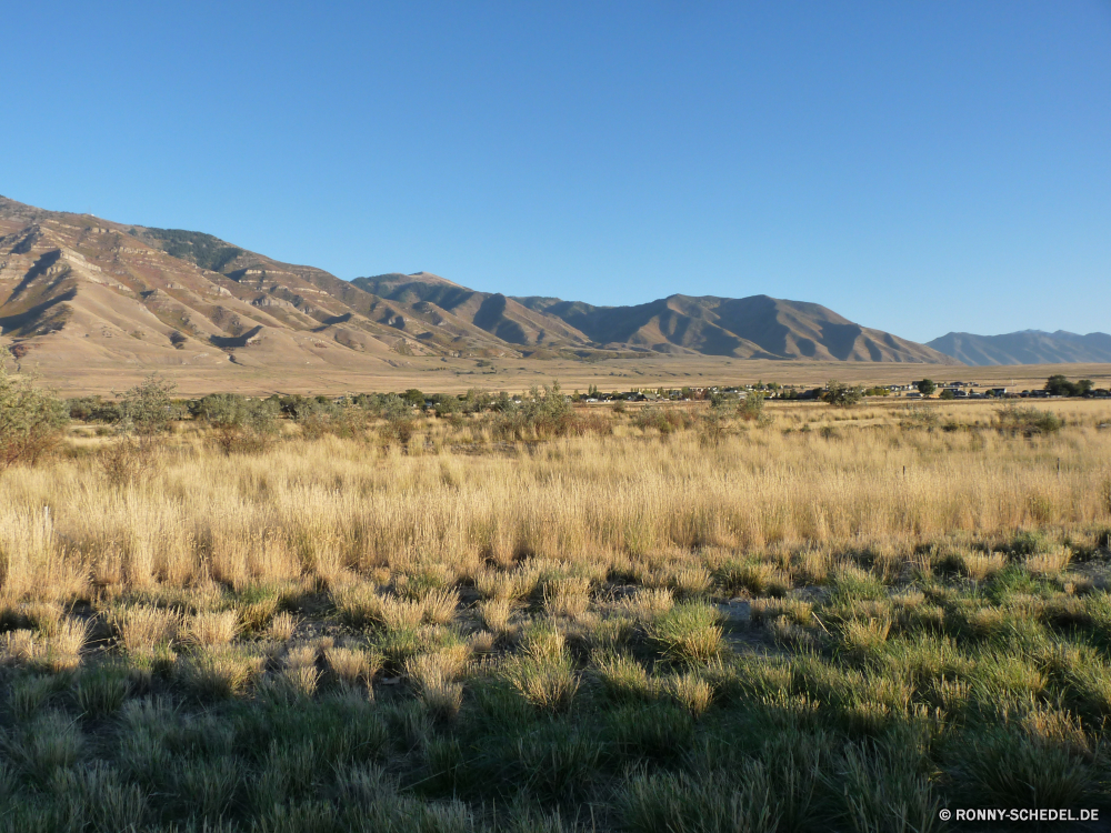 Nevada und Utah Steppe Reiner Hochland Land Landschaft Berge Himmel Berg Gras Bereich Feld Baum landschaftlich Landschaft Wüste Wolken Wald Wiese Reisen Entwicklung des ländlichen Sommer Szenerie Tal Park Hügel sonnig Wolke Herbst Tourismus nationalen im freien Land im freien Szene Hügel Wildnis Umgebung Bäume fallen Spitze Fels Stein Sand Landwirtschaft gelb Pflanze trocken Frühling Schnee Bauernhof Sonne Landbau bewölkt außerhalb Belaubung friedliche See natürliche Wasser Wetter Horizont Sonnenuntergang Gelände Bereich Panorama Saison Schlucht Fluss felsigen Wild Tag Busch Grünland gelassene Felsen heiß Düne Urlaub Straße steppe plain highland land landscape mountains sky mountain grass range field tree scenic countryside desert clouds forest meadow travel rural summer scenery valley park hill sunny cloud autumn tourism national outdoor country outdoors scene hills wilderness environment trees fall peak rock stone sand agriculture yellow plant dry spring snow farm sun farming cloudy outside foliage peaceful lake natural water weather horizon sunset terrain area panorama season canyon river rocky wild day bush grassland serene rocks hot dune vacation road