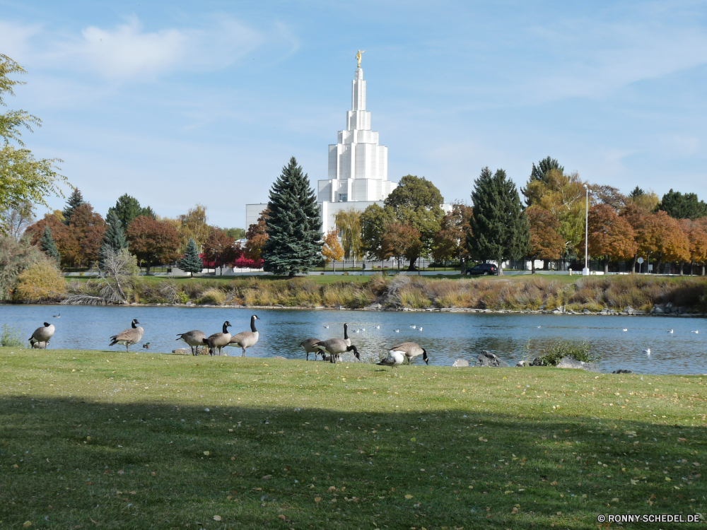 Idaho Falls Himmel Gras Baum Architektur Stadt Landschaft Gebäude Bäume Friedhof Universität Reisen Struktur Wasser Fluss Kirche Sommer Turm berühmte Park Tourismus Geschichte Grabstein Gedenkstätte Wahrzeichen Wolken Statue historischen Stein Feld Golf Ufer Denkmal Mauer Garten am See Hügel alt Wiese Kurs Gebäude Palast Land England historische sonnig Wolke Kultur Religion Entwicklung des ländlichen Urban See Haus Schloss Kathedrale Landschaft Kuppel landschaftlich Felder Antike Tag Rasen im freien Stadt Tourist Flag Insel Dorf Brücke Vereinigte Sport aussenansicht Bauernhof Pflanze Frühling Meer Landwirtschaft sky grass tree architecture city landscape building trees cemetery university travel structure water river church summer tower famous park tourism history gravestone memorial landmark clouds statue historic stone field golf shore monument wall garden lakeside hill old meadow course buildings palace country england historical sunny cloud culture religion rural urban lake house castle cathedral countryside dome scenic fields ancient day lawn outdoor town tourist flag island village bridge united sport exterior farm plant spring sea agriculture