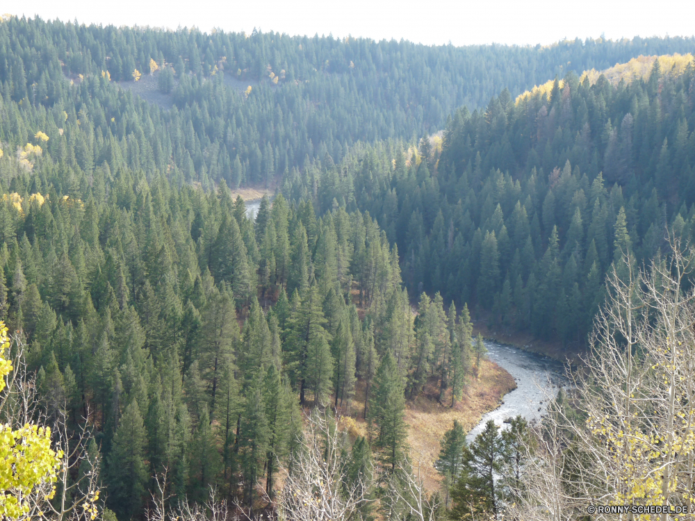 Mesa Falls ByWay Baum Landschaft Berg Wald Wildnis Park Berge Reed Bäume Tal nationalen Fluss Himmel Reisen im freien Schlucht Bereich Herbst Wasser Tourismus See vascular plant Klippe Hölzer fallen Wolken Szenerie Kraut Sommer landschaftlich Kiefer Fels Umgebung Reflexion Urlaub Schlucht natürliche Gras Schnee Saison Pflanze Stein geologische formation woody plant im freien Wolke sonnig Entwicklung des ländlichen Landschaft gelb Spitze Wandern Szene Weide friedliche Wiese Teich Land Blätter Wild bewölkt Hügel Belaubung am Morgen Orange felsigen Bereich hoch Feld Holz natürliche depression Stream Land Abenteuer Farbe Frühling Felsen Winter Blatt bunte Jahreszeiten Ruhe ruhige Sonne Gletscher Sonnenlicht Farben Tag majestätisch Attraktion Erhaltung idyllische fließende Tanne Tourist Straße saisonale tree landscape mountain forest wilderness park mountains reed trees valley national river sky travel outdoors canyon range autumn water tourism lake vascular plant cliff woods fall clouds scenery herb summer scenic pine rock environment reflection vacation ravine natural grass snow season plant stone geological formation woody plant outdoor cloud sunny rural countryside yellow peak hiking scene willow peaceful meadow pond country leaves wild cloudy hill foliage morning orange rocky area high field wood natural depression stream land adventure color spring rocks winter leaf colorful seasons calm tranquil sun glacier sunlight colors day majestic attraction conservation idyllic flowing fir tourist road seasonal