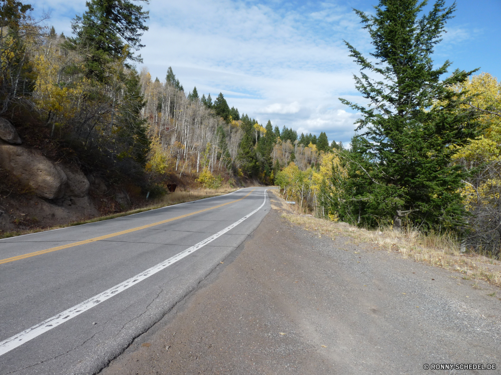 Mesa Falls ByWay Biegung Straße Landschaft Autobahn Asphalt Himmel Reisen Entwicklung des ländlichen Land Laufwerk Bäume Transport landschaftlich Strecke Aufstieg Berge Reise Reling Horizont Berg leere Wolken Steigung Reise Wald Szenerie Baum Landschaft Sommer Linie Autobahn Straße Gras Spur Kurve Szene Art und Weise im freien fahren Ziel Auto im freien Verkehr Wolke Verkehr Perspektive Richtung Wüste Park Geschwindigkeit Verschieben Urlaub Asphalt Umgebung Land Pflaster Feld Auto Pfad gerade Hügel lange Hügel Fahrzeug schnell Bewegung voran Fels Schnee außerhalb bewölkt Linien Wiese Fahrbahn wicklung Autobahn Felder sonnig Wolkengebilde Wetter Kiefer Tourismus nationalen Sonne Biegen Sie niemand Tal Auto Kurven Pflanzen Tag Landwirtschaft Saison bend road landscape highway asphalt sky travel rural country drive trees transportation scenic route ascent mountains journey railing horizon mountain empty clouds slope trip forest scenery tree countryside summer line freeway street grass lane curve scene way outdoor driving destination car outdoors transport cloud traffic perspective direction desert park speed moving vacation tarmac environment land pavement field auto path straight hill long hills vehicle fast motion ahead rock snow outside cloudy lines meadow roadway winding motorway fields sunny cloudscape weather pine tourism national sun turn nobody valley automobile curves plants day agriculture season