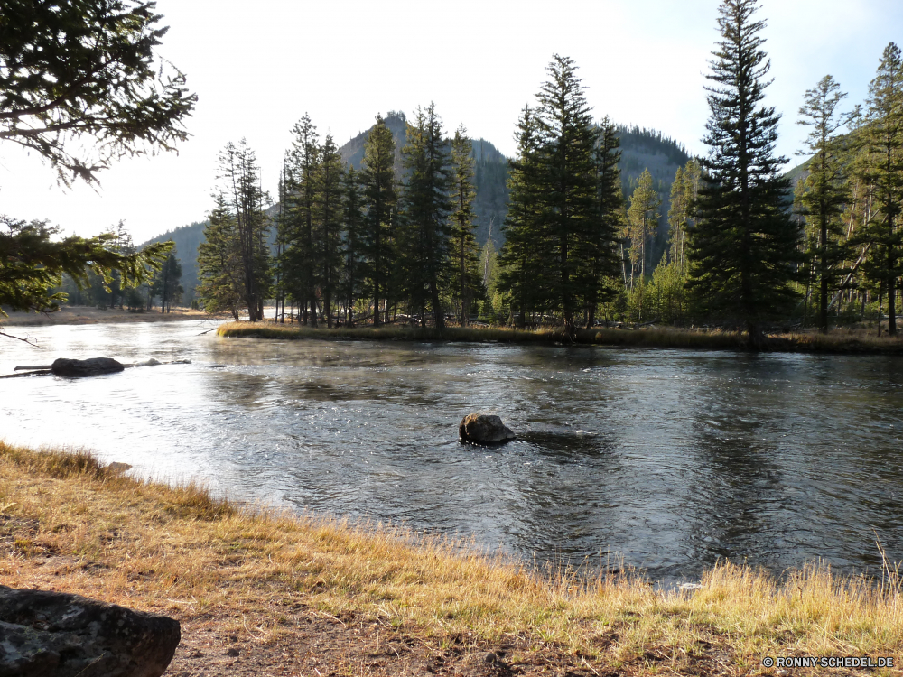 Yellowstone Nationalpark Wald See Landschaft am See Wasser Baum Ufer Fluss Sumpf Land Bäume Reflexion Park Berg Himmel Teich Feuchtgebiet Herbst Reisen Wildnis im freien Sommer im freien landschaftlich Szenerie natürliche Gras Berge Entwicklung des ländlichen Hölzer Kiefer ruhige Pflanze Szene Umgebung Saison Stream Wild friedliche fallen Holz Sonne Fels Landschaft Tourismus Belaubung Wolken Landschaften Sonnenlicht Land sonnig Frühling Stein nationalen ruhig Wolke Ruhe Birke idyllische woody plant Wiese Urlaub Gelände Farben klar gelassene Urlaub Kanal bunte Körper des Wassers Frieden Erholung Sumpf Blätter Entspannung Sonnenuntergang gelb Tag Blatt kalt Wandern Erhaltung Garten Pflanzen Schnee am Morgen Farbe vascular plant niemand forest lake landscape lakeside water tree shore river swamp land trees reflection park mountain sky pond wetland autumn travel wilderness outdoor summer outdoors scenic scenery natural grass mountains rural woods pine tranquil plant scene environment season stream wild peaceful fall wood sun rock countryside tourism foliage clouds scenics sunlight country sunny spring stone national quiet cloud calm birch idyllic woody plant meadow vacation terrain colors clear serene vacations channel colorful body of water peace recreation marsh leaves relaxation sunset yellow day leaf cold hiking conservation garden plants snow morning color vascular plant nobody