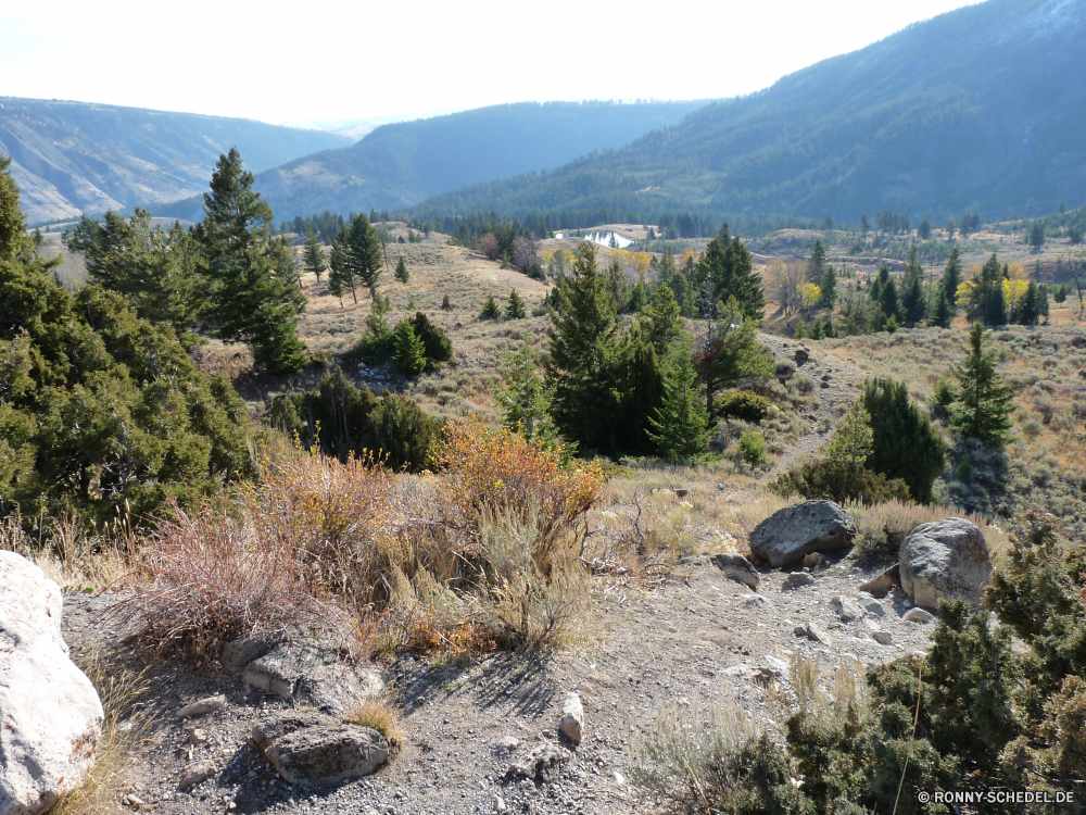 Yellowstone Nationalpark Berg Wildnis Landschaft Berge Baum Bereich Wald Tal Park Himmel nationalen Fluss Reisen Bäume im freien Sommer Wasser Wolken Fels Schnee woody plant Tourismus See Spitze Herbst landschaftlich Schlucht Tanne Szenerie Kiefer Stein Pflanze Hügel Gras vascular plant Wolke Hochland Panorama Szene Wüste fallen Kaktus Frühling Wandern Hölzer Urlaub im freien Hügel Umgebung Wild Felsen Belaubung Landschaft Abenteuer hoch Stream natürliche Land Straße sonnig friedliche Alpine Mount Land Saison außerhalb Pflanzen Reflexion Schlucht Blätter Tag übergeben Aussicht felsigen Klippe Busch Weide Gletscher Ruhe Tourist Strauch Farbe Wiese bunte mountain wilderness landscape mountains tree range forest valley park sky national river travel trees outdoors summer water clouds rock snow woody plant tourism lake peak autumn scenic canyon fir scenery pine stone plant hill grass vascular plant cloud highland panorama scene desert fall cactus spring hiking woods vacation outdoor hills environment wild rocks foliage countryside adventure high stream natural land road sunny peaceful alpine mount country season outside plants reflection ravine leaves day pass vista rocky cliff bush pasture glacier calm tourist shrub color meadow colorful