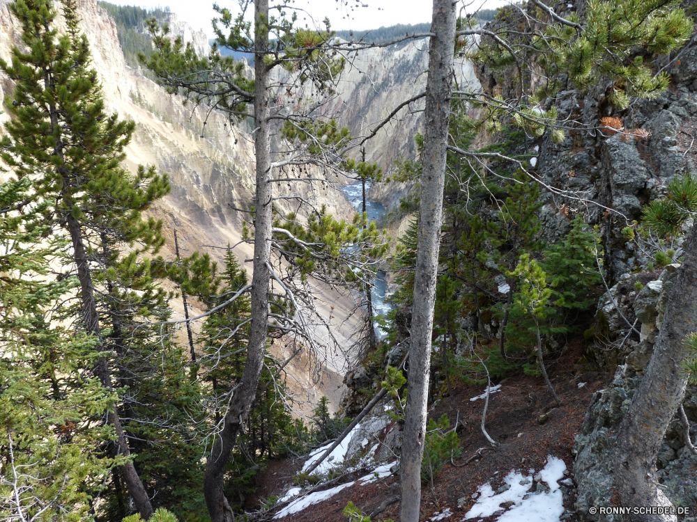 Lower Yellowstone Fall Baum woody plant Wald vascular plant Bäume Pflanze Landschaft Holz Park Kiefer Kofferraum im freien Tanne Saison Umgebung Belaubung Blätter natürliche Hölzer Branch Sommer Berg im freien Reisen Wildnis Frühling Blatt Szene Himmel Berge Rinde Wild nationalen Szenerie Gras Wasser fallen Wandern Fluss Tag Wachstum Herbst Sonne Birke Dschungel üppige Bereich landschaftlich Licht groß Tropischer Pfad sonnig Frieden ruhige frisch Sonnenlicht felsigen Bewuchs Fels hoch Mahagoni Abenteuer Landschaft Zweige Stein alt Wetter Flora Entwicklung des ländlichen dichten Waldland Farbe Wasserfall Stream Felsen Umwelt- Braun See am Morgen Straße Schnee tree woody plant forest vascular plant trees plant landscape wood park pine trunk outdoor fir season environment foliage leaves natural woods branch summer mountain outdoors travel wilderness spring leaf scene sky mountains bark wild national scenery grass water fall hiking river day growth autumn sun birch jungle lush area scenic light tall tropical path sunny peace tranquil fresh sunlight rocky vegetation rock high mahogany adventure countryside branches stone old weather flora rural dense woodland color waterfall stream rocks environmental brown lake morning road snow