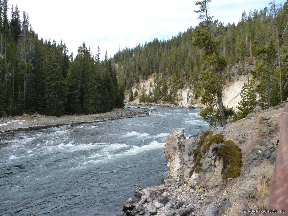 Lower Yellowstone Fall Wald Landschaft Fluss Baum Berg Wasser Schnee Fels Bäume Stream Park Berge Wildnis Himmel Kiefer Stein Felsen Winter landschaftlich Reisen Wetter Land im freien Klippe im freien Eis See Steigung Hölzer Aufstieg geologische formation Tal kalt Umgebung natürliche Creek felsigen Sommer Tourismus Urlaub nationalen Szenerie Tag Saison fließende Bereich Szene Wolke Spitze Ufer Frost Wild Meer Tanne Hügel Sonne friedliche Ozean Wasserfall gefroren Entwicklung des ländlichen Bewegung Strömung Küste Gletscher Herbst Frühling am See Wolken fallen Land Landschaften sonnig Landschaft schneebedeckt Kanal Küste Holz Grat Schlucht Gras rasche Gelände Strand Steine woody plant Birke Reflexion Branch Hochland frisch Barrier forest landscape river tree mountain water snow rock trees stream park mountains wilderness sky pine stone rocks winter scenic travel weather land outdoors cliff outdoor ice lake slope woods ascent geological formation valley cold environment natural creek rocky summer tourism vacation national scenery day season flowing range scene cloud peak shore frost wild sea fir hill sun peaceful ocean waterfall frozen rural motion flow coast glacier autumn spring lakeside clouds fall country scenics sunny countryside snowy channel coastline wood ridge canyon grass rapid terrain beach stones woody plant birch reflection branch highland fresh barrier