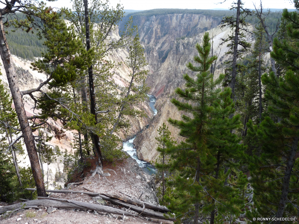 Yellowstone Grand Canyon Baum Berg Landschaft woody plant Berge Wald Fluss Tal Bäume vascular plant Fels Park im freien Kiefer Wasser Himmel Reisen Schnee Wildnis nationalen Bereich Stein Sommer Spitze Wandern im freien Hölzer Hügel landschaftlich felsigen Tanne Pflanze hoch Felsen Urlaub Szenerie Wolken Stream Gras Tourismus Umgebung Schlucht Steigung Herbst Wolke Klippe natürliche sonnig Belaubung Wasserfall Aufstieg Land Alpen Straße Alpine Blätter Panorama Frühling immergrün See Landschaft Holz Schlucht fallen Creek Wanderung übergeben Szene Alp Grat Wild Landschaften Nach oben Gletscher Tag Eukalyptus Moos Saison kalt Weide Reise Reise Feld geologische formation Baumstumpf southern beech Branch silver tree Entwicklung des ländlichen tree mountain landscape woody plant mountains forest river valley trees vascular plant rock park outdoors pine water sky travel snow wilderness national range stone summer peak hiking outdoor woods hill scenic rocky fir plant high rocks vacation scenery clouds stream grass tourism environment canyon slope autumn cloud cliff natural sunny foliage waterfall ascent country alps road alpine leaves panorama spring evergreen lake countryside wood ravine fall creek hike pass scene alp ridge wild scenics top glacier day eucalyptus moss season cold pasture trip journey field geological formation snag southern beech branch silver tree rural