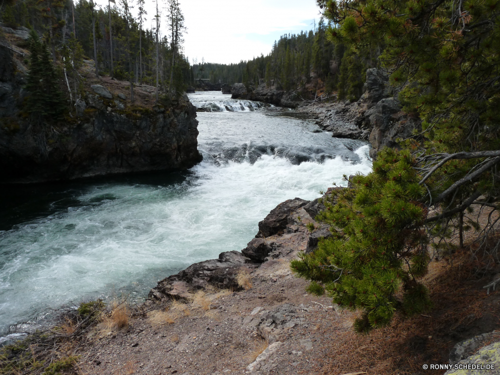 Upper Yellowstone Fall Kanal Wald Landschaft Wasser Körper des Wassers Fluss Küste Fels Baum Meer Ufer Berg Ozean landschaftlich Küste Stein Klippe Reisen Felsen Sommer Bäume Himmel Strand Stream Urlaub Land Wildnis Insel Szenerie im freien Park felsigen geologische formation im freien Berge Tourismus See am See Wolke Küstenlinie natürliche Wolken Creek Vorgebirge Entspannen Sie sich Hügel natürliche Höhe Szene Sonne Moos Barrier Bucht Sand Wild Umgebung Urlaub Herbst Steine Welle Wasserfall Wellenbrecher Entwicklung des ländlichen Frühling klar Hölzer sonnig Tourist ruhige fallen Pazifik Wandern Landschaften England Kap Paradies fließende Strömung friedliche Landschaft Klippen Tag Pflanze Surf Bewegung Tropischer woody plant Holz Ziel Sandbank Wellen Frieden nationalen frisch Tal Sonnenlicht Gras channel forest landscape water body of water river coast rock tree sea shore mountain ocean scenic coastline stone cliff travel rocks summer trees sky beach stream vacation land wilderness island scenery outdoor park rocky geological formation outdoors mountains tourism lake lakeside cloud shoreline natural clouds creek promontory relax hill natural elevation scene sun moss barrier bay sand wild environment holiday autumn stones wave waterfall breakwater rural spring clear woods sunny tourist tranquil fall pacific hiking scenics england cape paradise flowing flow peaceful countryside cliffs day plant surf motion tropical woody plant wood destination sandbar waves peace national fresh valley sunlight grass