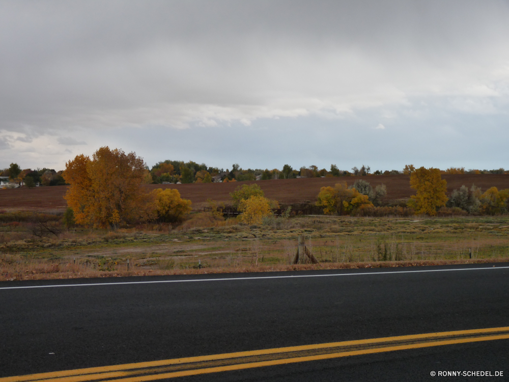 Colorado Schnellstraße Landschaft Feld Himmel Entwicklung des ländlichen Straße Horizont Land Wolken Landschaft Wiese Gras Autobahn Sommer Wolke landschaftlich Land Szenerie Baum Laufwerk Bauernhof Asphalt Landwirtschaft Reisen im freien Strecke Szene Umgebung leere Hügel Autobahn Saison Wetter Sonne bewölkt Herbst Reiner sonnig Transport Frühling Sonnenuntergang Art und Weise Berg Bäume gelb Auto Pflanze Felder Reise Wald Bewegung Geschwindigkeit Ackerland Wolkengebilde Weizen Richtung Landbau Reise Berge voran fahren Sonnenlicht Verkehr Licht Perspektive Sonnenaufgang im freien Linie Verkehr fallen Pfad Bewegung Tag Freiheit Spur einsam Kurve ruhig Rasen außerhalb Wüste Straße friedliche Park Sturm Verschieben Ernte Ziel wachsen Korn bunte endlose Mais Fahrzeug schnell einzelne am Morgen Öffnen Schatten niemand expressway landscape field sky rural road horizon country clouds countryside meadow grass highway summer cloud scenic land scenery tree drive farm asphalt agriculture travel outdoor route scene environment empty hill freeway season weather sun cloudy autumn plain sunny transportation spring sunset way mountain trees yellow car plant fields trip forest motion speed farmland cloudscape wheat direction farming journey mountains ahead driving sunlight traffic light perspective sunrise outdoors line transport fall path movement day freedom lane lonely curve quiet lawn outside desert street peaceful park storm moving harvest destination grow grain colorful endless corn vehicle fast single morning open shadow nobody