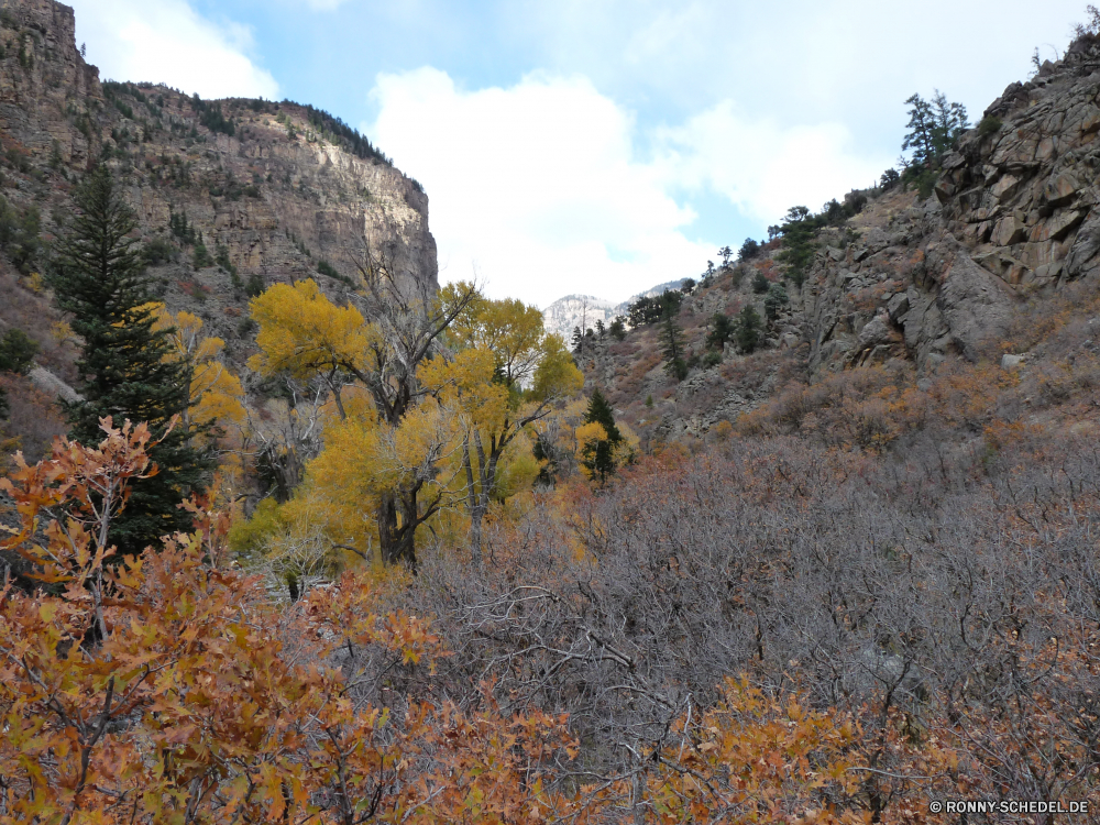 Rocky Mountains Berg Baum woody plant Landschaft Strauch Berge Stechginster vascular plant Himmel Tal nationalen Fels Park Wildnis Bäume Reisen Szenerie im freien landschaftlich Wald Bereich Herbst Pflanze Schlucht Tourismus Spitze Steigung Aufstieg Wüste Sommer fallen Stein Fluss Hügel Geologie Wolken Hochland Panorama im freien felsigen Wandern Umgebung Wolke Klippe Wasser Saison Felsen Urlaub natürliche Wild Schnee gelb southern beech Gras außerhalb Tag Kiefer Landschaft Busch Frühling Kaktus Schlucht Straße Wiese Aushöhlung Bildung Blätter Aussicht hoch Landschaften Blatt Abenteuer Belaubung See Entwicklung des ländlichen Alpine Südwesten Farbe Gelände sonnig Westen Land Insel friedliche Horizont mountain tree woody plant landscape shrub mountains gorse vascular plant sky valley national rock park wilderness trees travel scenery outdoors scenic forest range autumn plant canyon tourism peak slope ascent desert summer fall stone river hill geology clouds highland panorama outdoor rocky hiking environment cloud cliff water season rocks vacation natural wild snow yellow southern beech grass outside day pine countryside bush spring cactus ravine road meadow erosion formation leaves vista high scenics leaf adventure foliage lake rural alpine southwest color terrain sunny west land island peaceful horizon