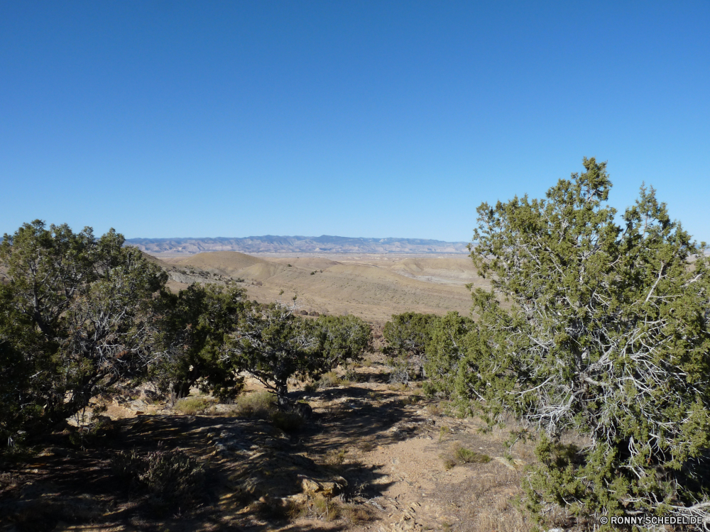 Zurück in Utah Baum Landschaft woody plant Himmel Wildnis Berg vascular plant Berge Park Sommer Wald Pflanze Bäume Gras landschaftlich Reisen im freien Entwicklung des ländlichen nationalen Hügel Land Hochland Herbst Fels Land Wüste Tal Saison Szene Sonne Szenerie Wolken Feld Frühling natürliche im freien Hügel Kiefer Tag Landwirtschaft Wolke Straße echte Lorbeer Umgebung Bereich sonnig Landschaft Stein Fluss Strauch Wild Wiese Sonnenlicht Wasser Spitze Busch Panorama Blatt Eiche Holz Blätter Wandern Tourismus Urlaub Hölzer Aufstieg Felsen bewölkt Farbe Belaubung friedliche fallen Flora Schlucht Landschaften Abenteuer Klippe Pflanzen Kaktus Licht Insel gelb ruhige Horizont Sand tree landscape woody plant sky wilderness mountain vascular plant mountains park summer forest plant trees grass scenic travel outdoors rural national hill country highland autumn rock land desert valley season scene sun scenery clouds field spring natural outdoor hills pine day agriculture cloud road true laurel environment range sunny countryside stone river shrub wild meadow sunlight water peak bush panorama leaf oak wood leaves hiking tourism vacation woods ascent rocks cloudy color foliage peaceful fall flora canyon scenics adventure cliff plants cactus light island yellow tranquil horizon sand